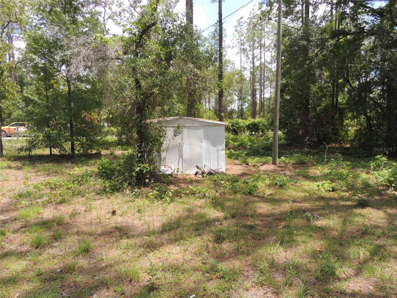 250 NE 131ST AVE, WILLISTON, FL, 32696