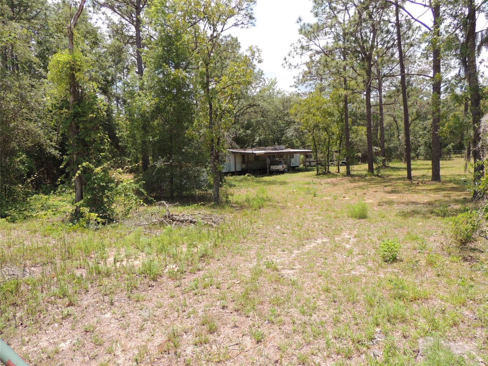 250 NE 131ST AVE, WILLISTON, FL, 32696