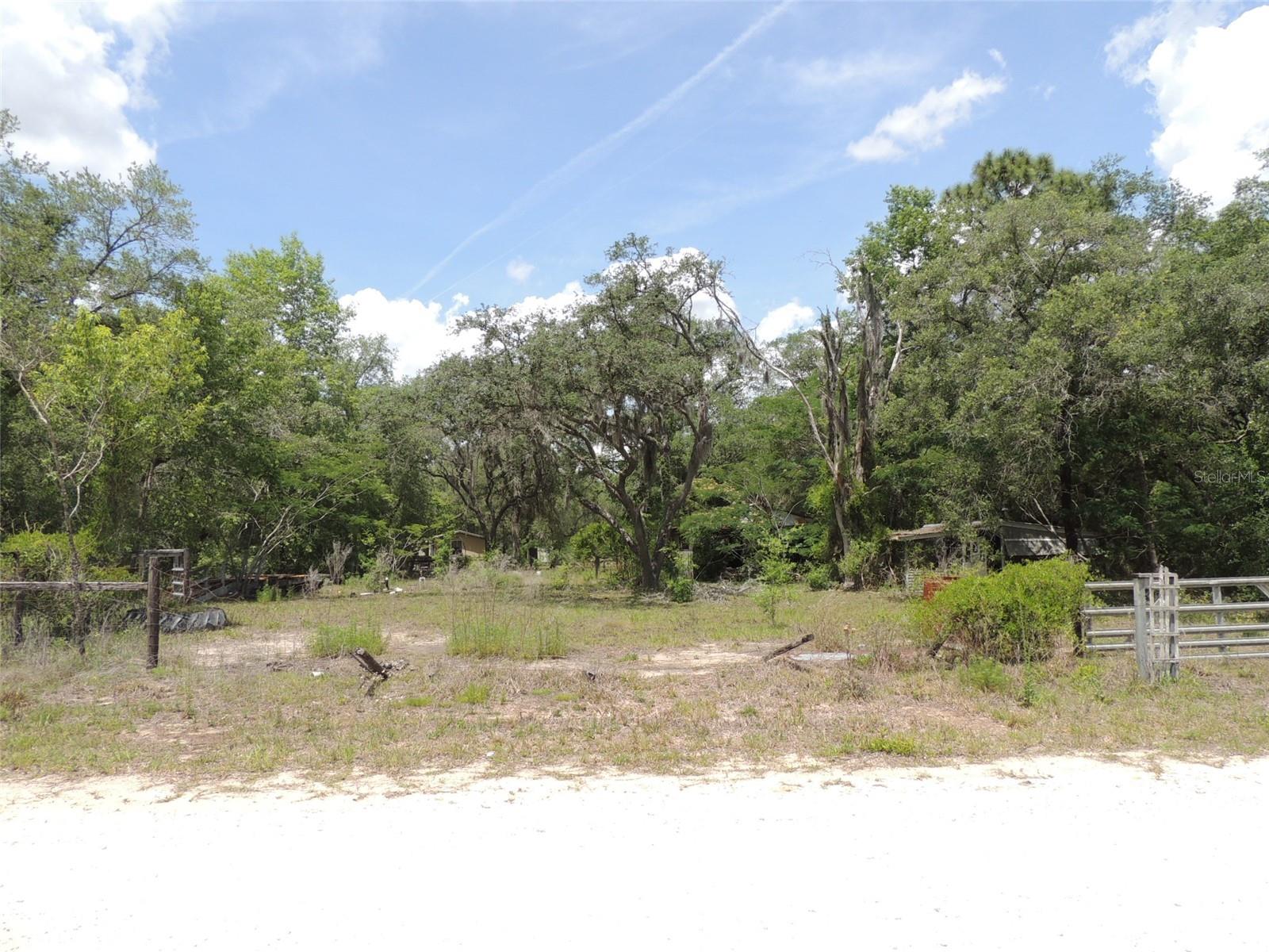 250 NE 131ST AVE, WILLISTON, FL, 32696