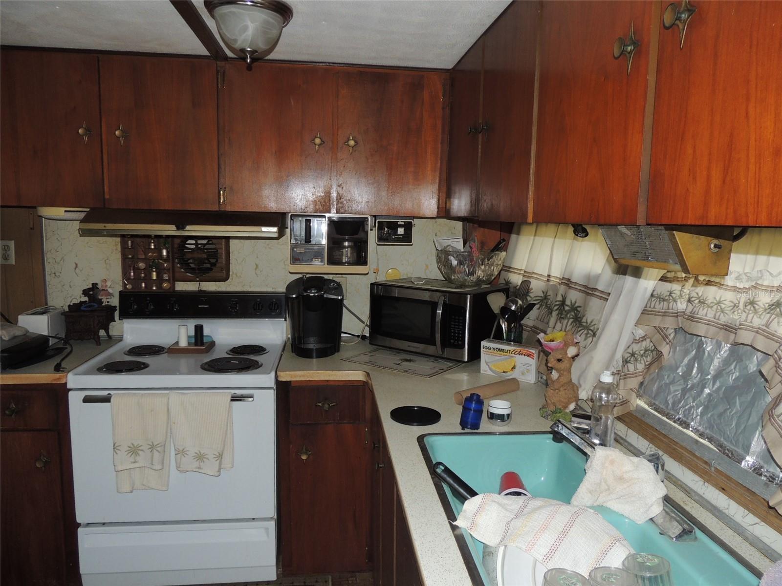 250 NE 131ST AVE, WILLISTON, FL, 32696