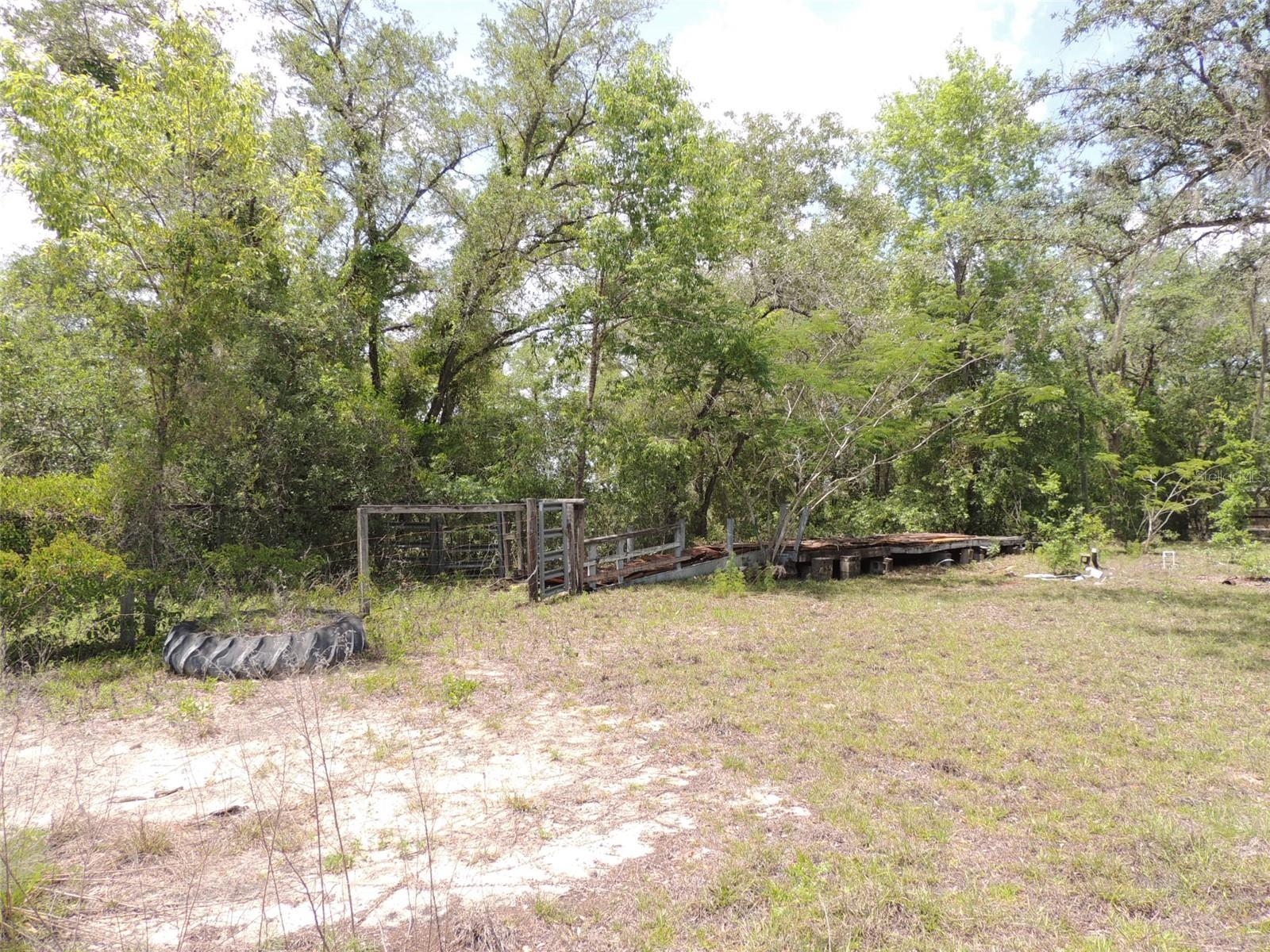 250 NE 131ST AVE, WILLISTON, FL, 32696