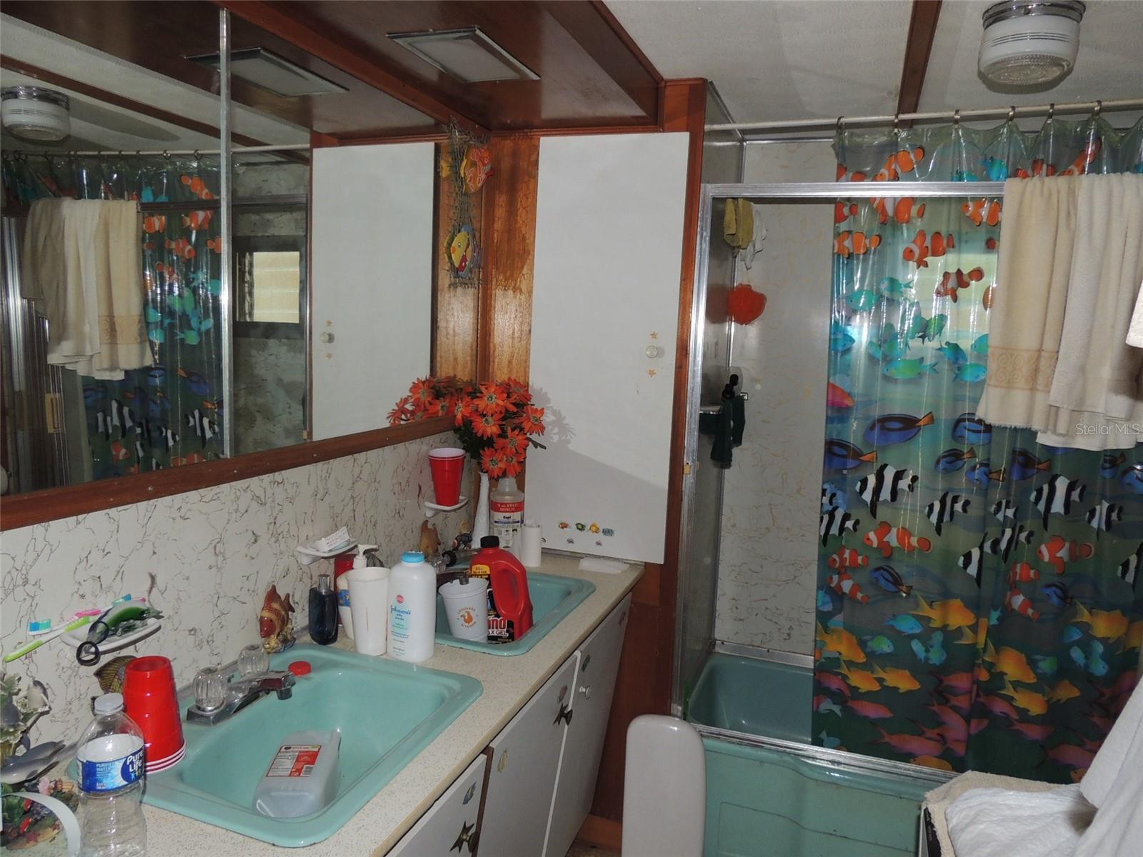 250 NE 131ST AVE, WILLISTON, FL, 32696