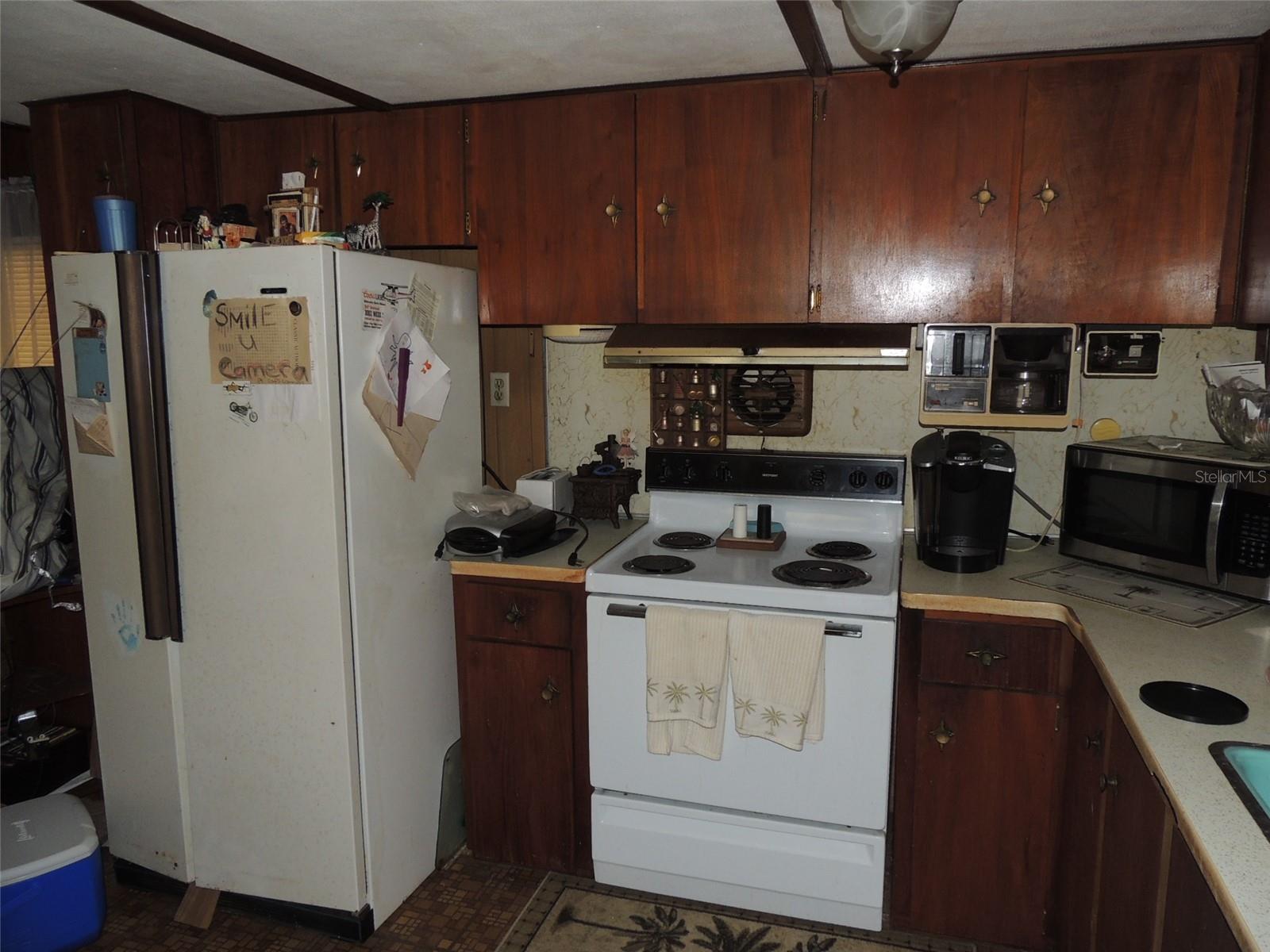 250 NE 131ST AVE, WILLISTON, FL, 32696