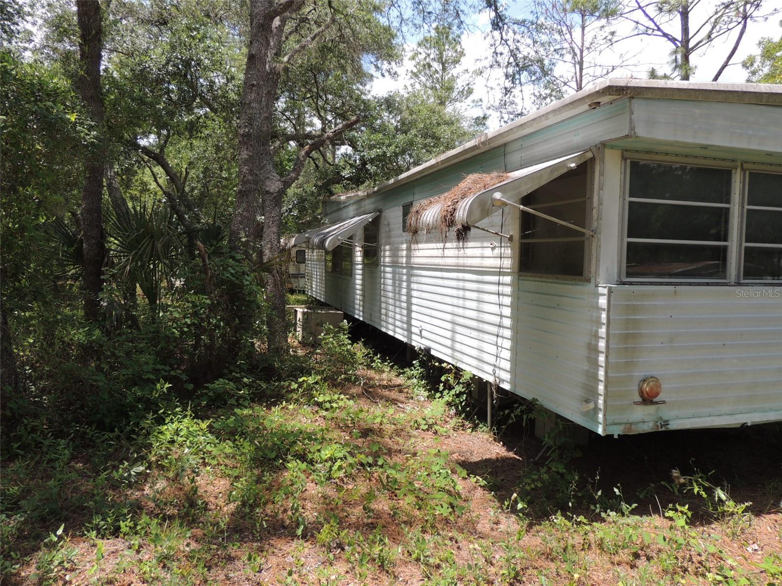 250 NE 131ST AVE, WILLISTON, FL, 32696