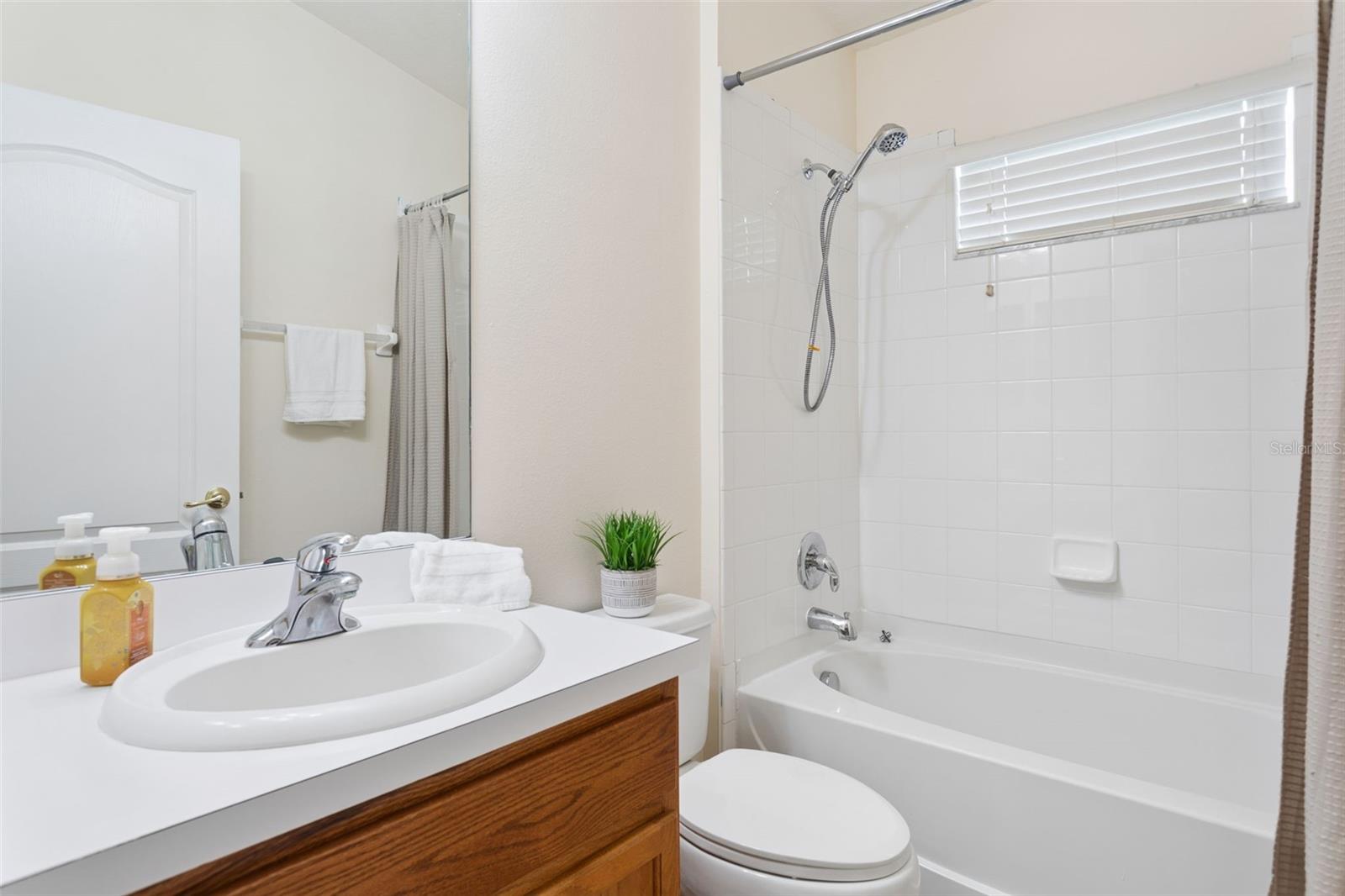 25932 TERRAWOOD LOOP, LAND O LAKES, FL, 34639