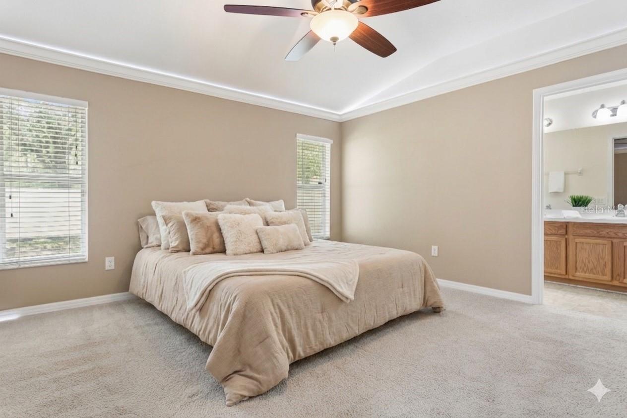 25932 TERRAWOOD LOOP, LAND O LAKES, FL, 34639