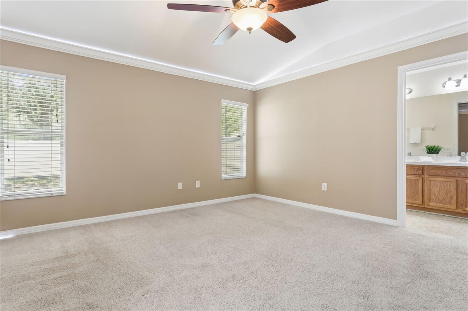 25932 TERRAWOOD LOOP, LAND O LAKES, FL, 34639