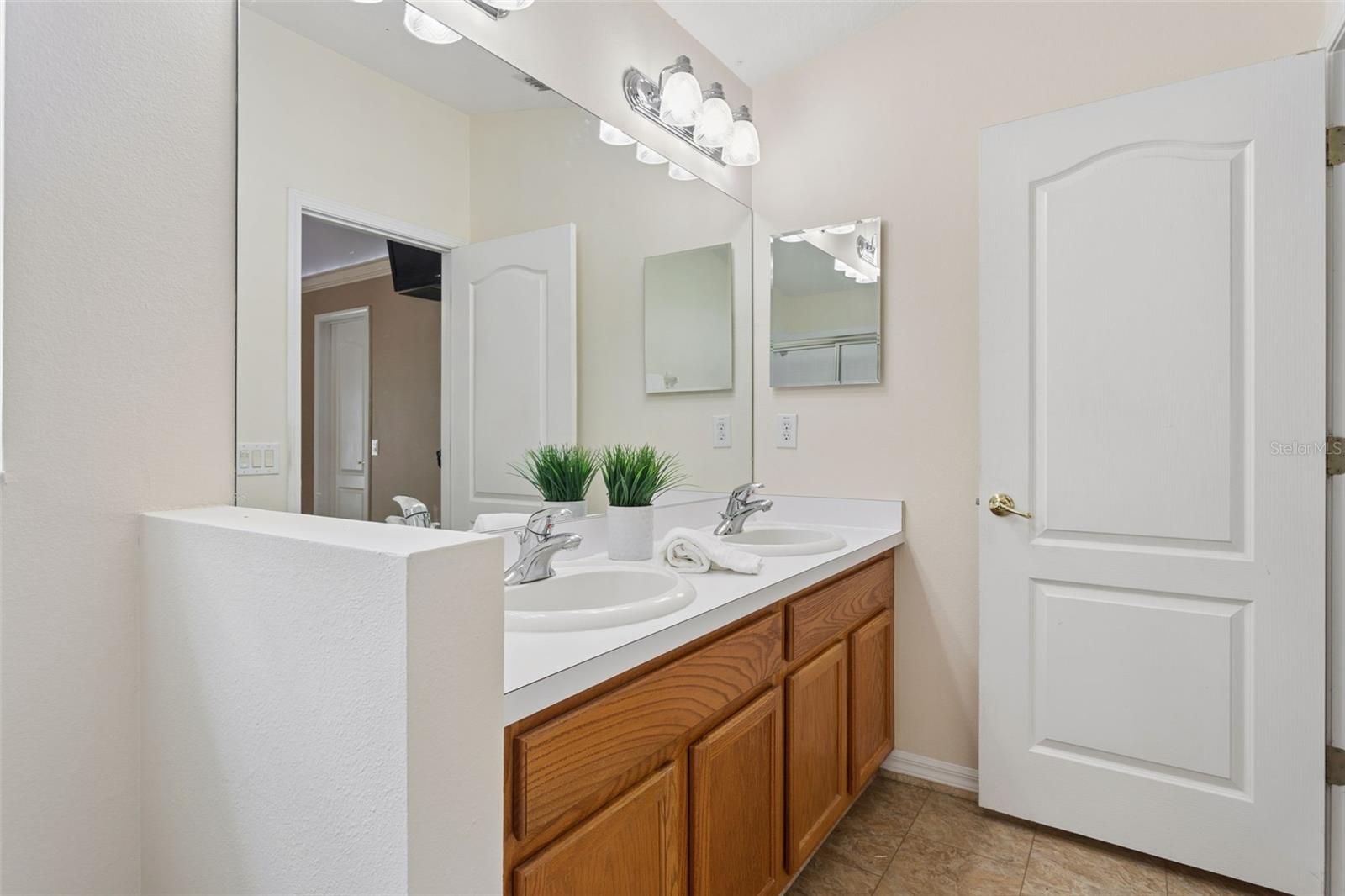 25932 TERRAWOOD LOOP, LAND O LAKES, FL, 34639