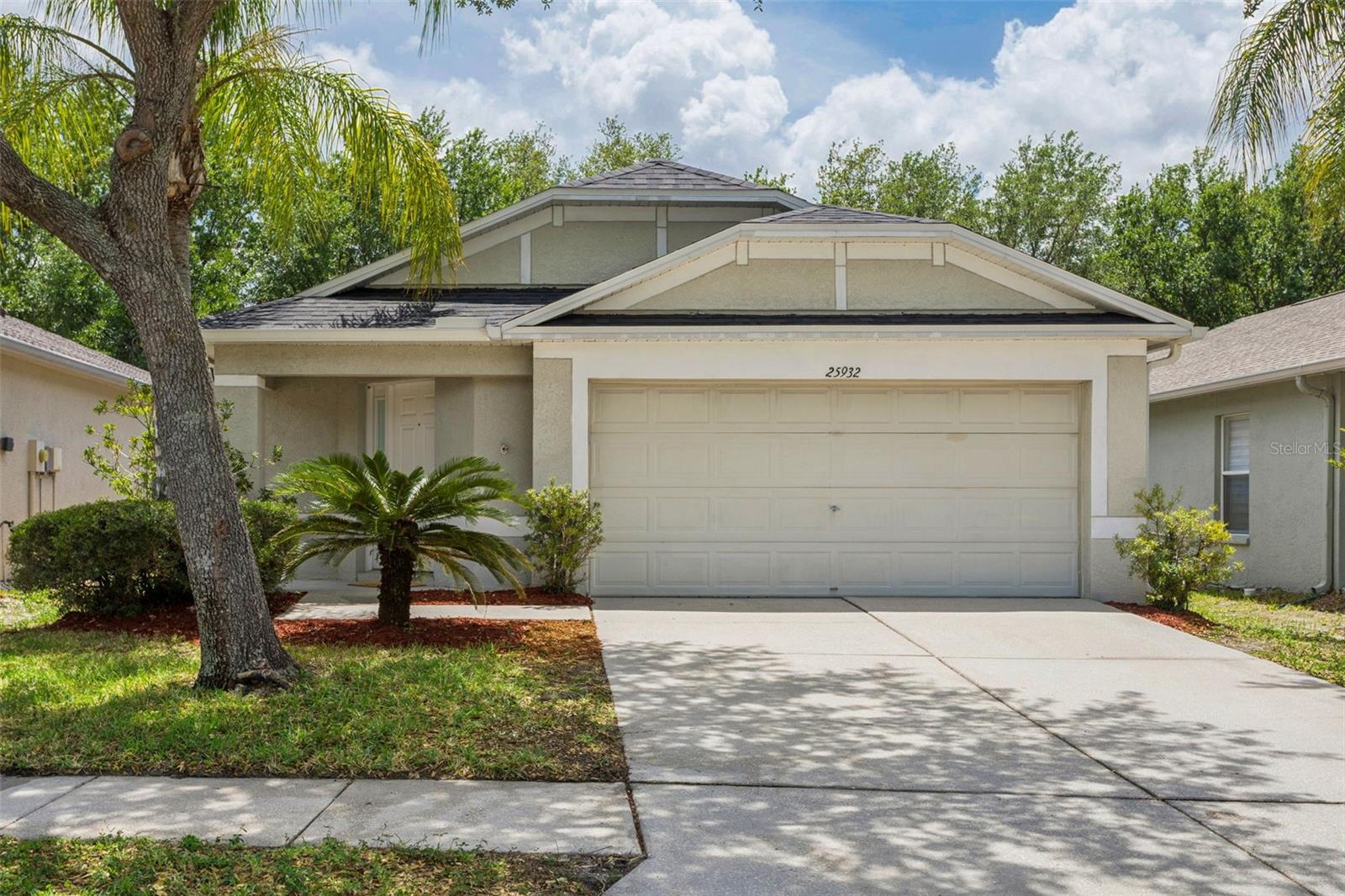 25932 TERRAWOOD LOOP, LAND O LAKES, FL, 34639