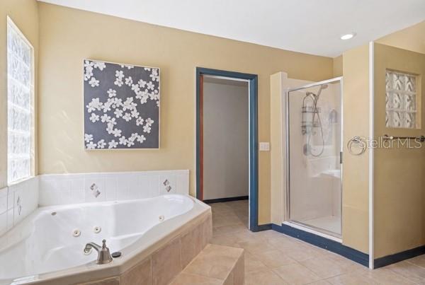 511 E MIRROR LAKE DR, FRUITLAND PARK, FL, 34731