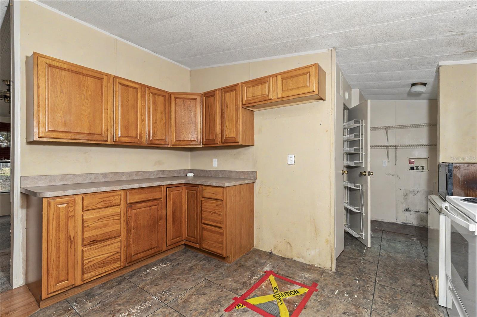 18007 SE 90TH ST, OCKLAWAHA, FL, 32179