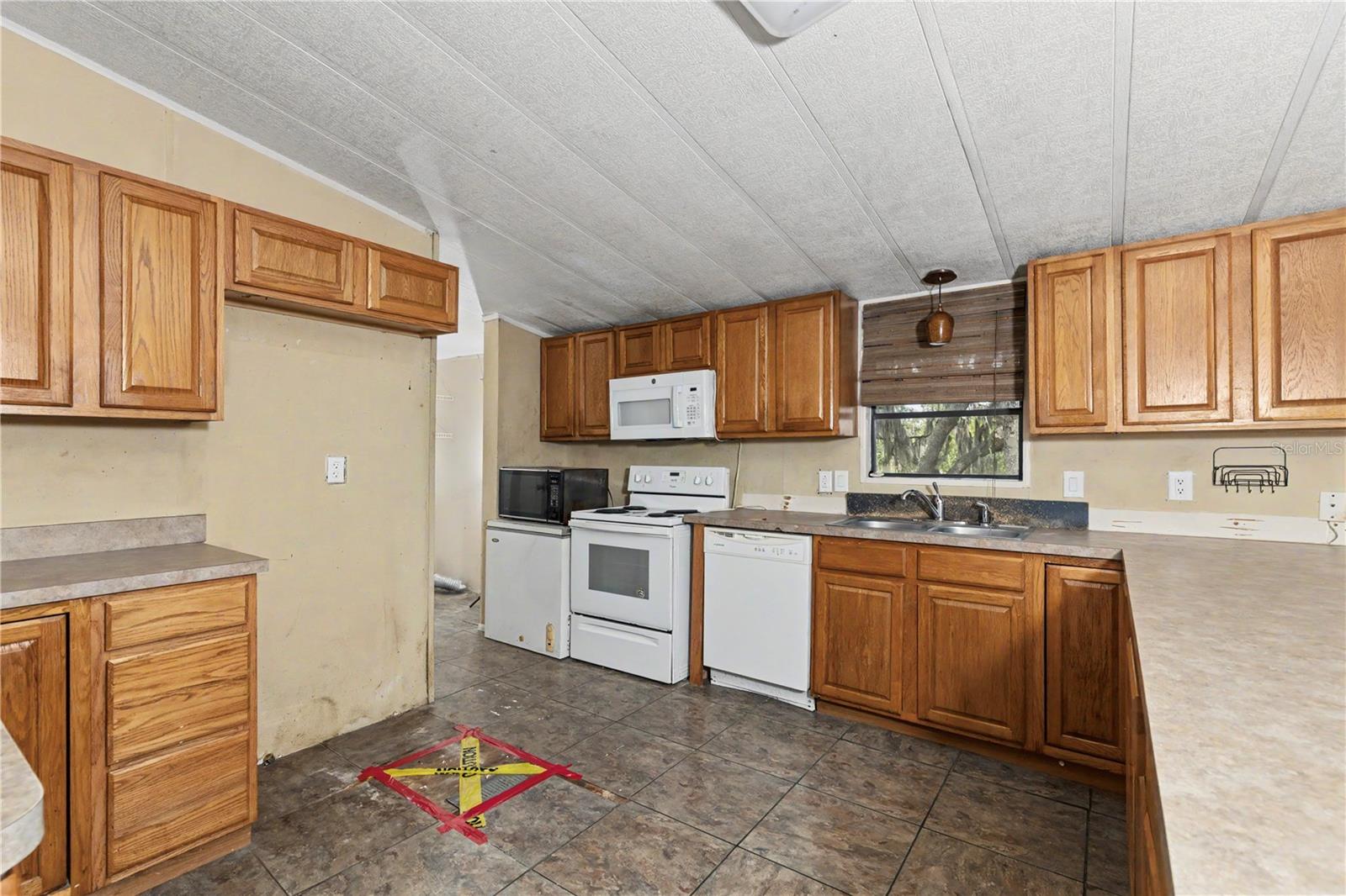 18007 SE 90TH ST, OCKLAWAHA, FL, 32179