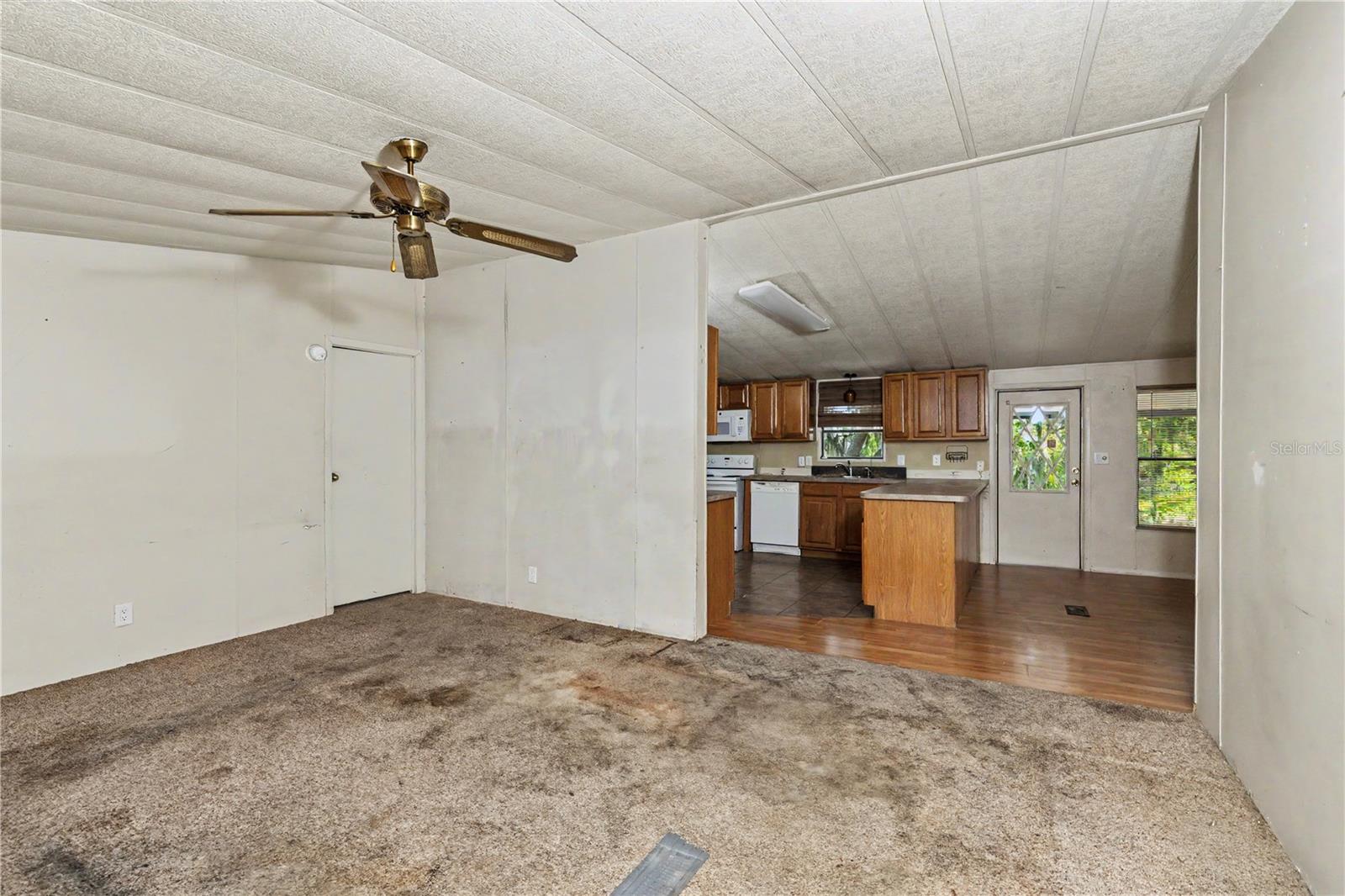 18007 SE 90TH ST, OCKLAWAHA, FL, 32179