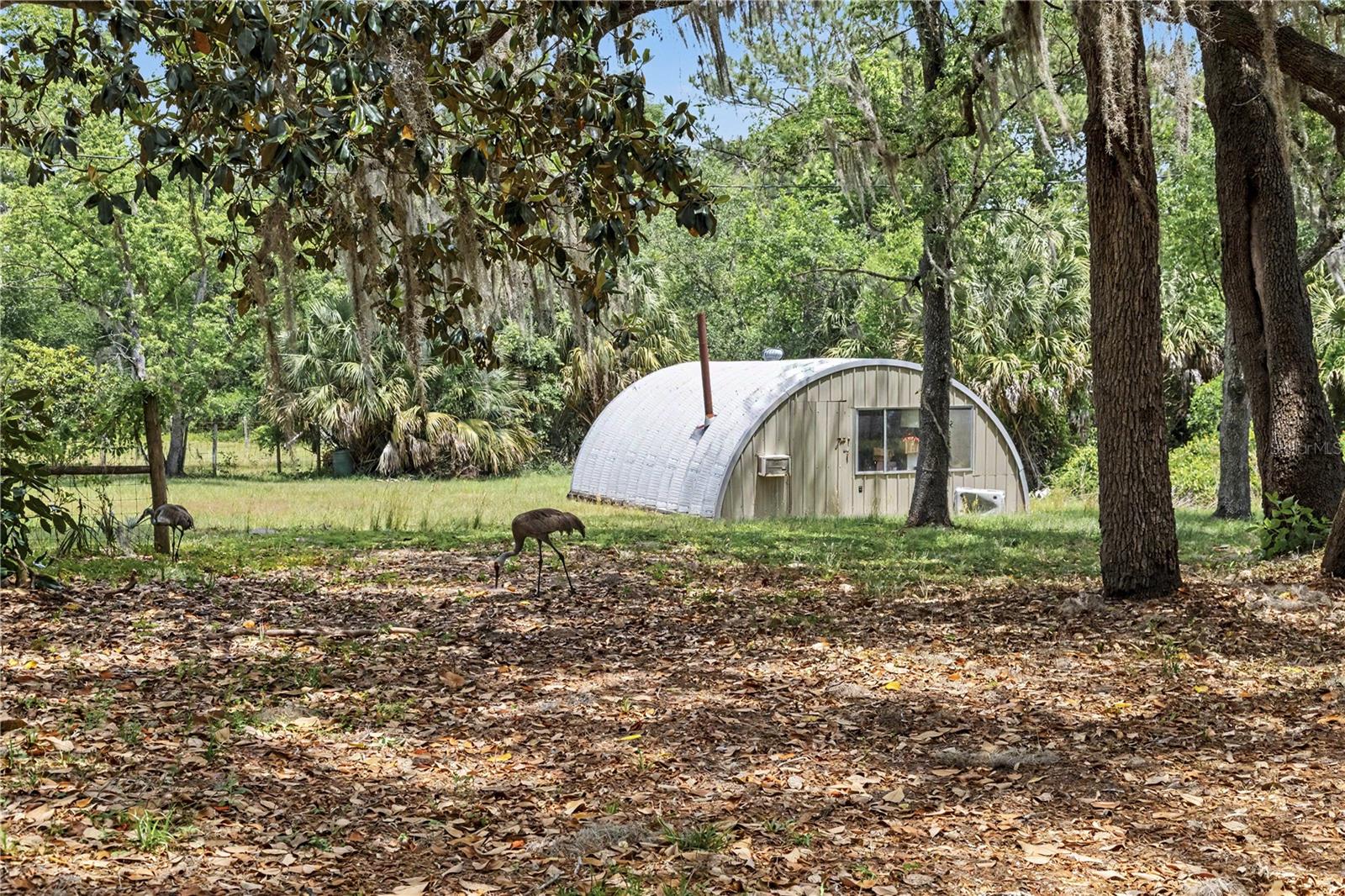 18007 SE 90TH ST, OCKLAWAHA, FL, 32179