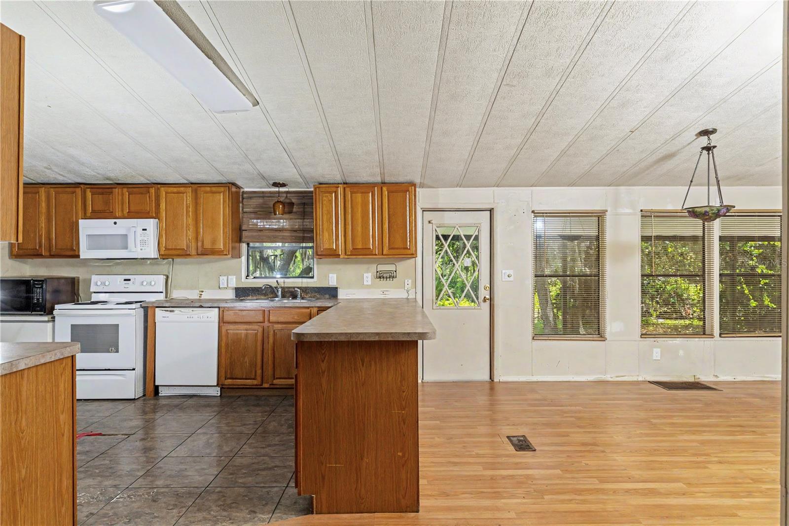 18007 SE 90TH ST, OCKLAWAHA, FL, 32179