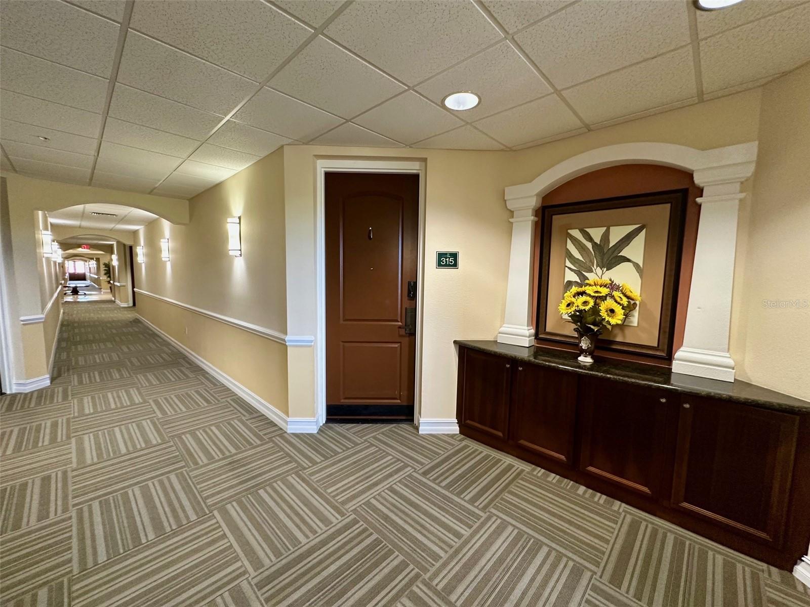 13941 CLUBHOUSE DR #315, TAMPA, FL, 33618