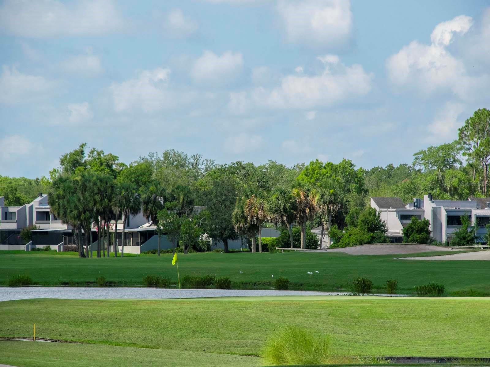 13941 CLUBHOUSE DR #315, TAMPA, FL, 33618
