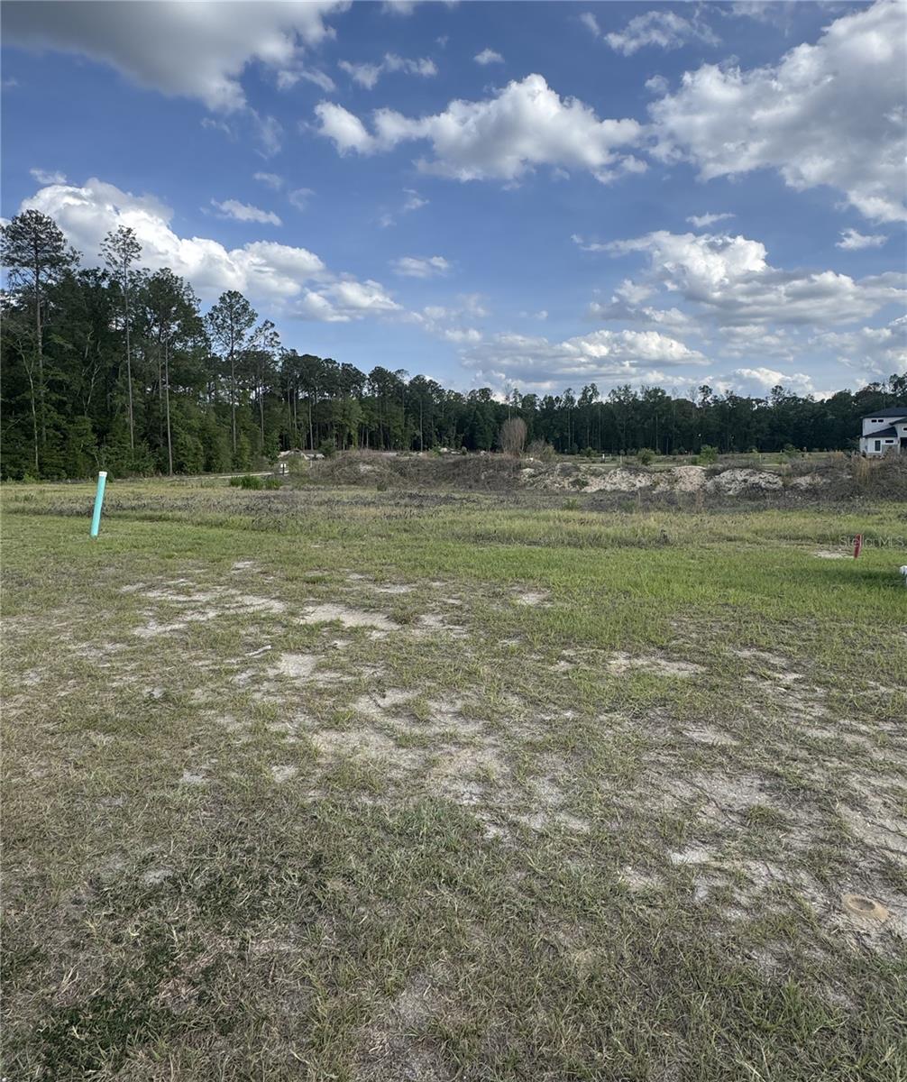14759 SW 9TH LN, NEWBERRY, FL, 32669