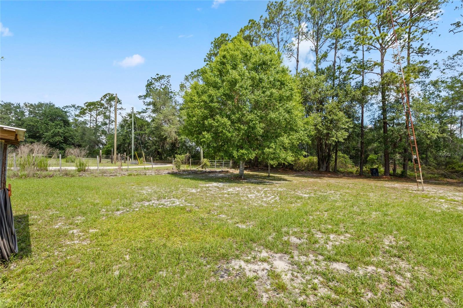 11115 SW 105TH ST, BROOKER, FL, 32622