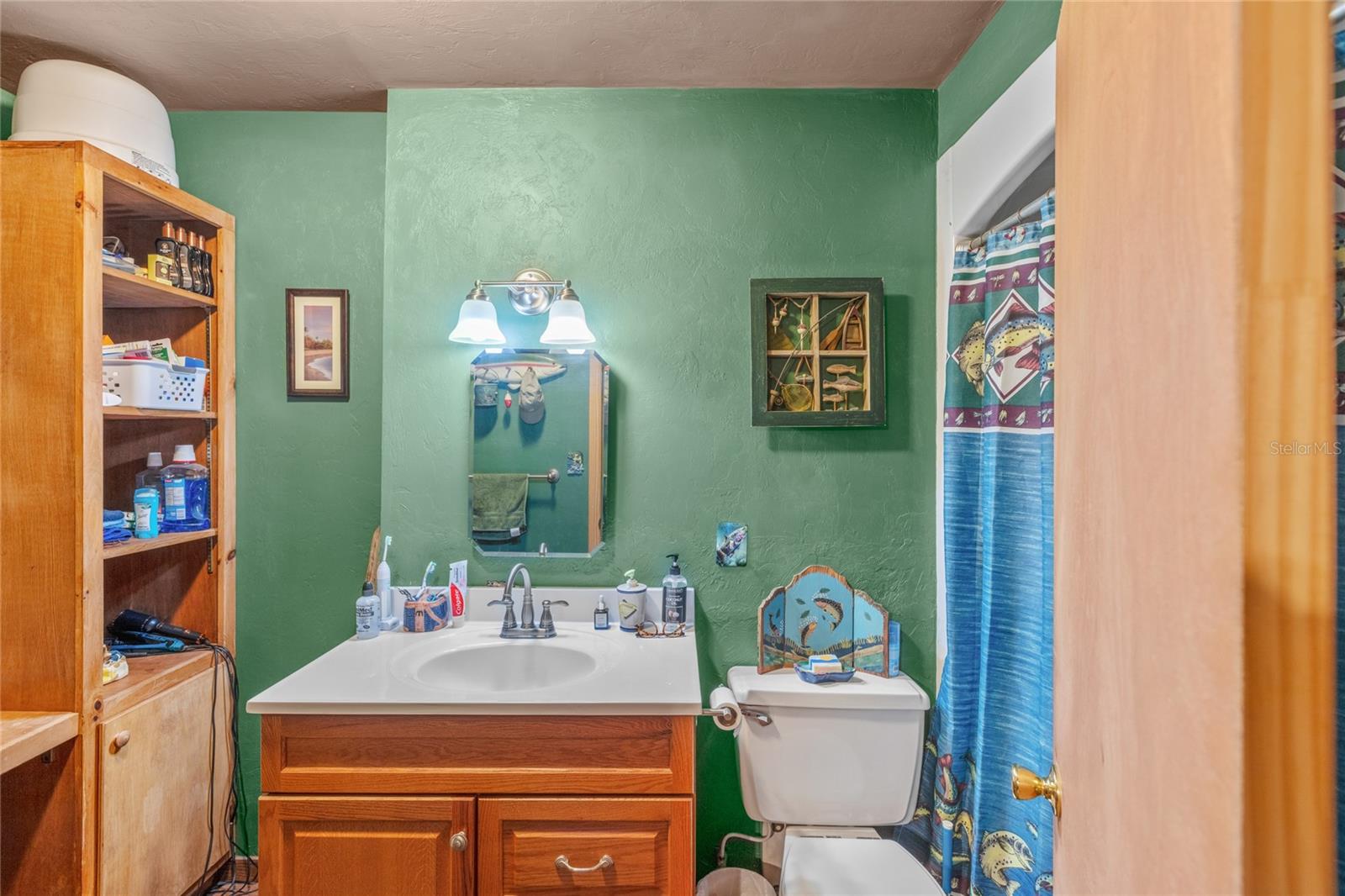 11115 SW 105TH ST, BROOKER, FL, 32622