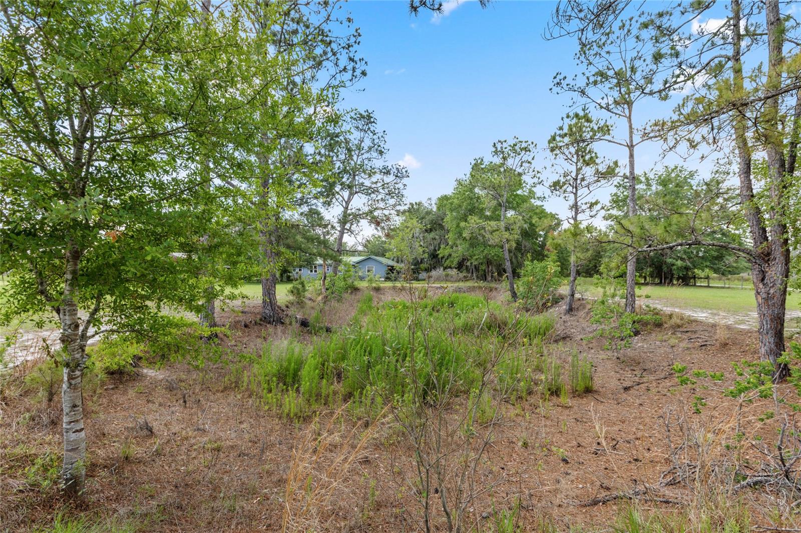 11115 SW 105TH ST, BROOKER, FL, 32622