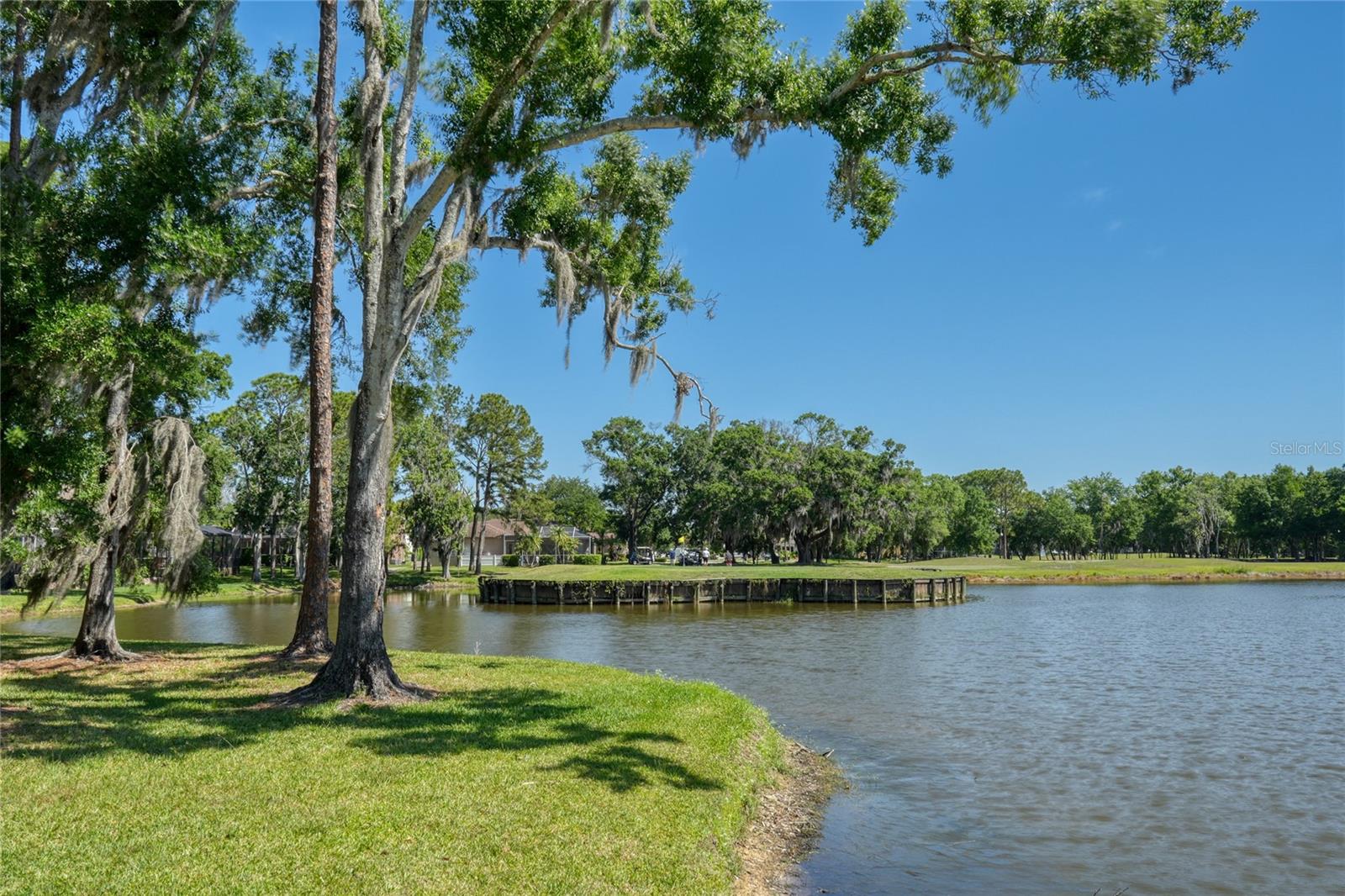 15501 KINGSMILL PL, ODESSA, FL, 33556