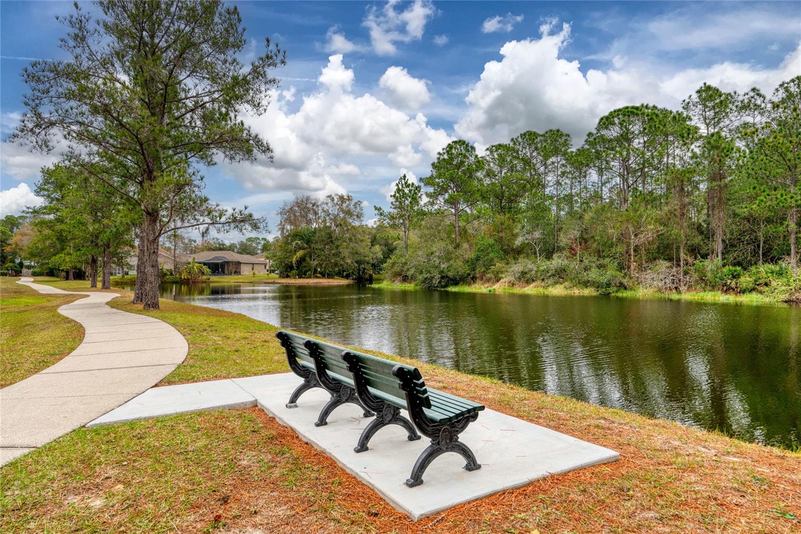 15501 KINGSMILL PL, ODESSA, FL, 33556