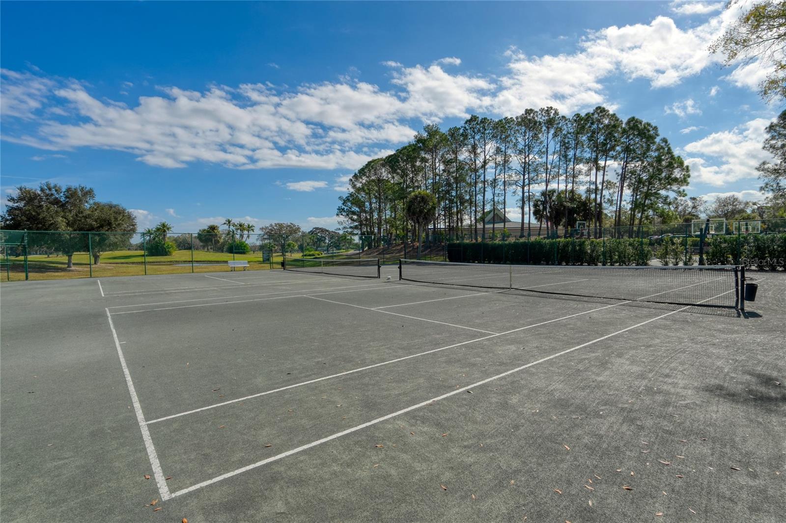 15501 KINGSMILL PL, ODESSA, FL, 33556
