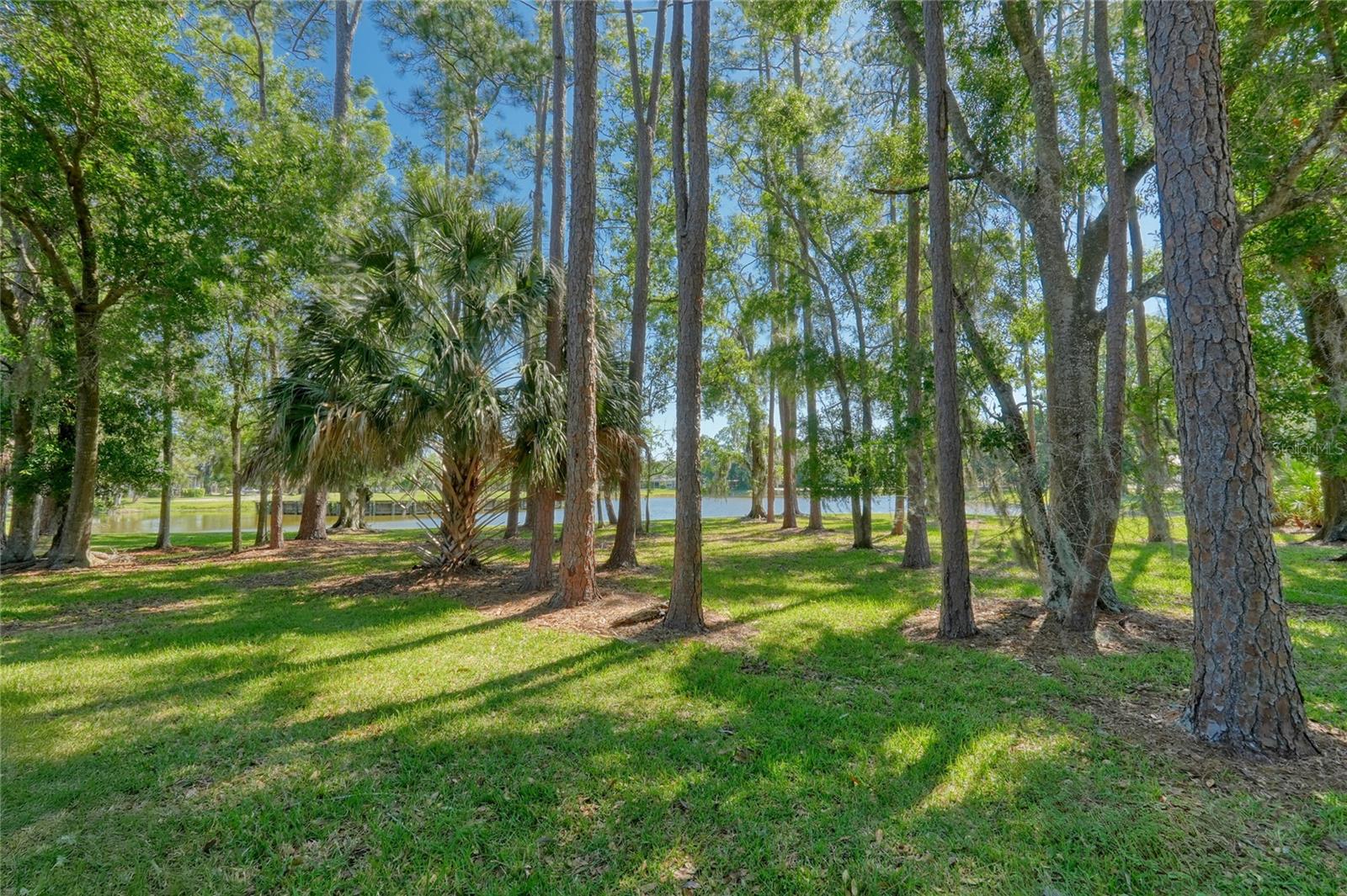 15501 KINGSMILL PL, ODESSA, FL, 33556