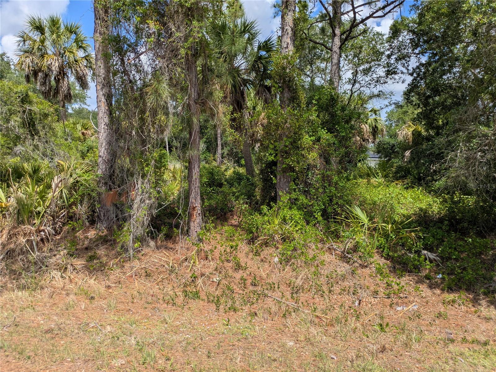 DELIGHT AVE, NORTH PORT, FL, 34288