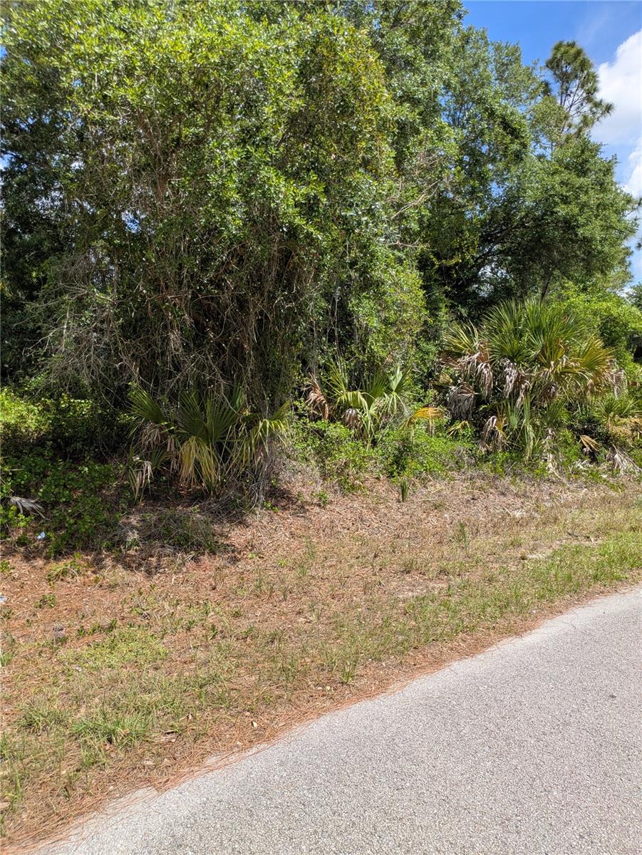 DELIGHT AVE, NORTH PORT, FL, 34288