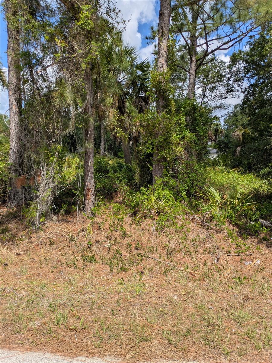 DELIGHT AVE, NORTH PORT, FL, 34288