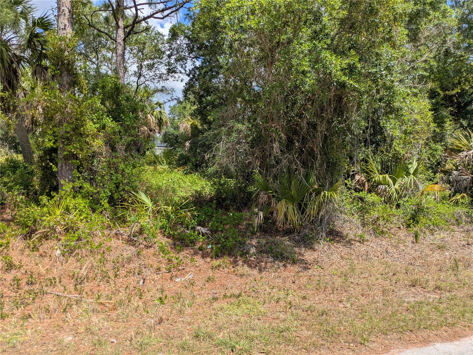 DELIGHT AVE, NORTH PORT, FL, 34288