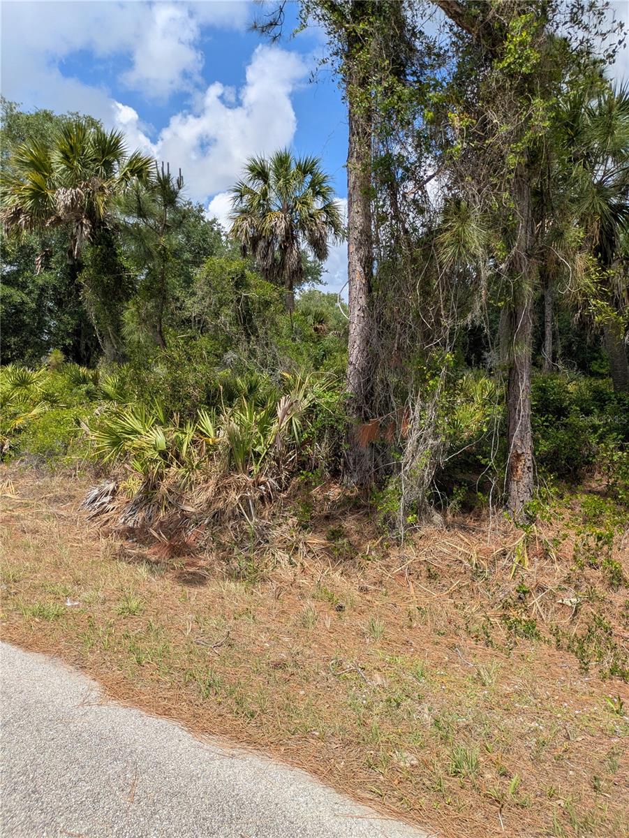 DELIGHT AVE, NORTH PORT, FL, 34288