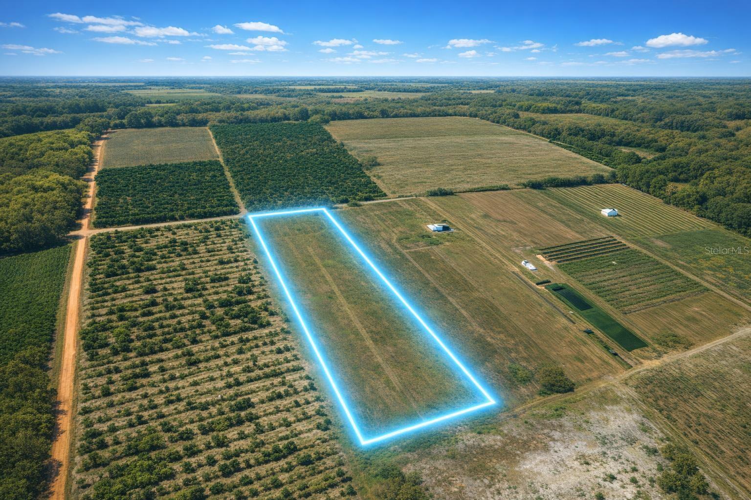 900 BUFFUM CHURCH RD, FORT MEADE, FL, 33841