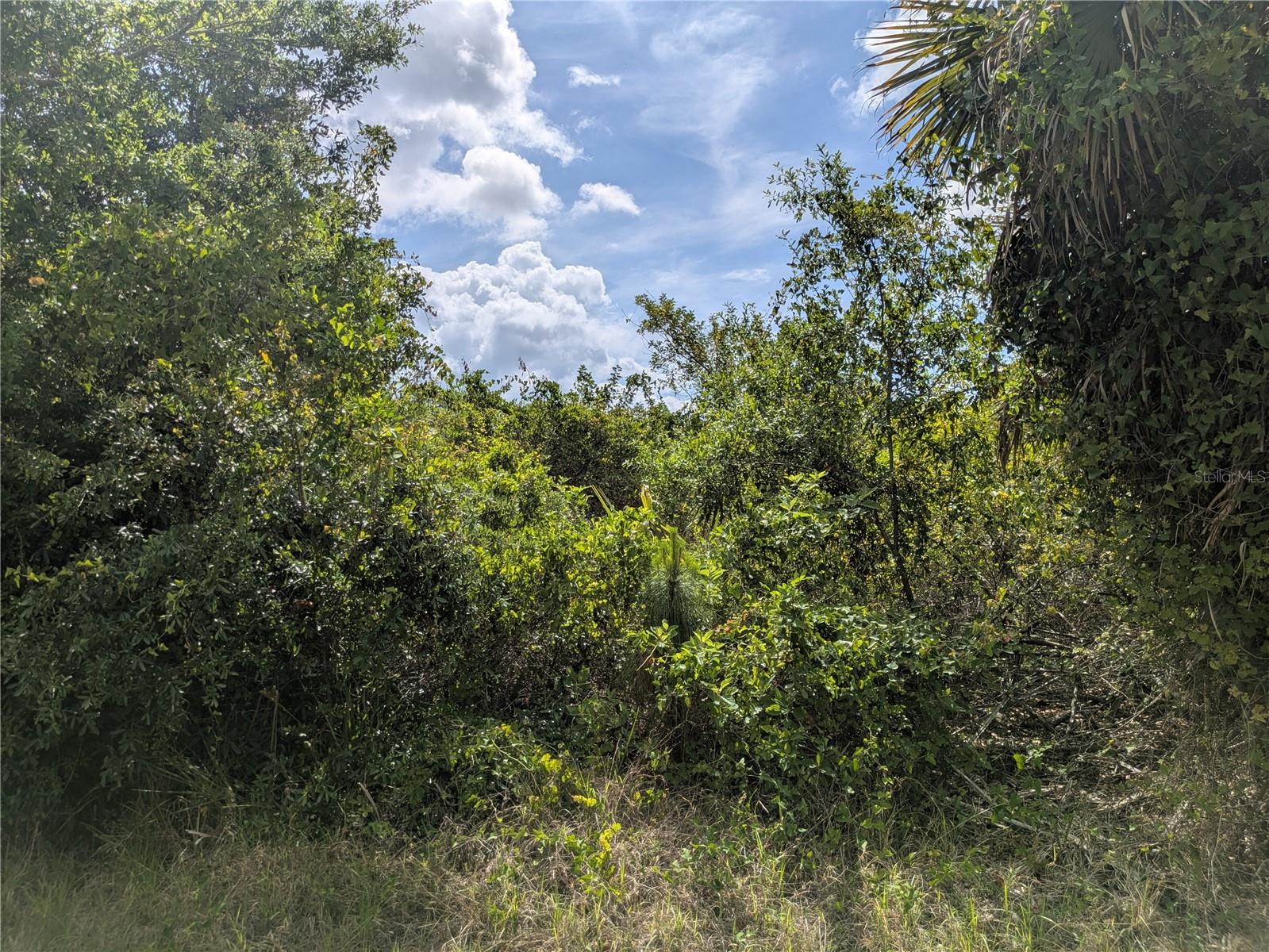 7396 WIDMER ST, PORT CHARLOTTE, FL, 33981