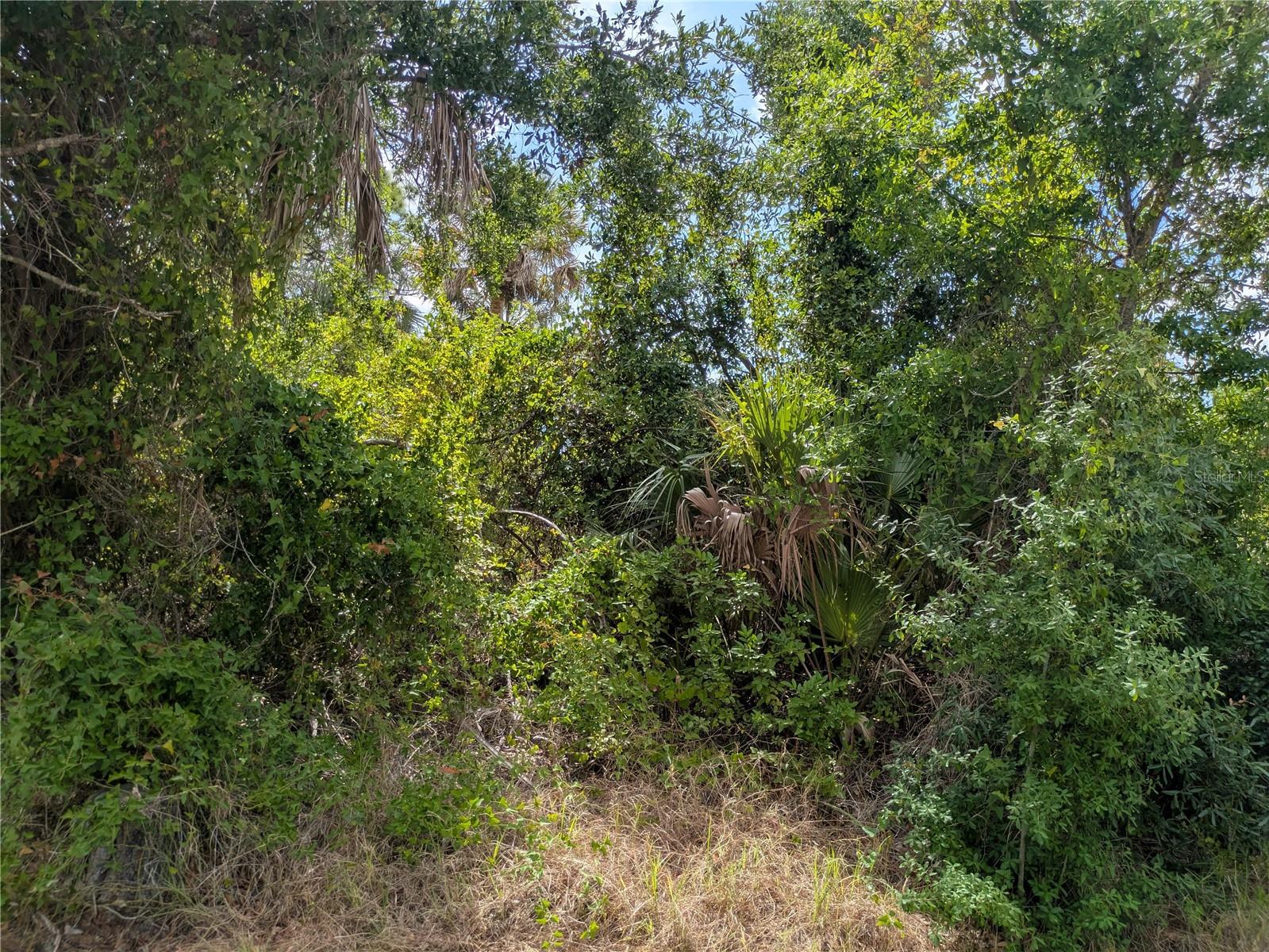 7396 WIDMER ST, PORT CHARLOTTE, FL, 33981