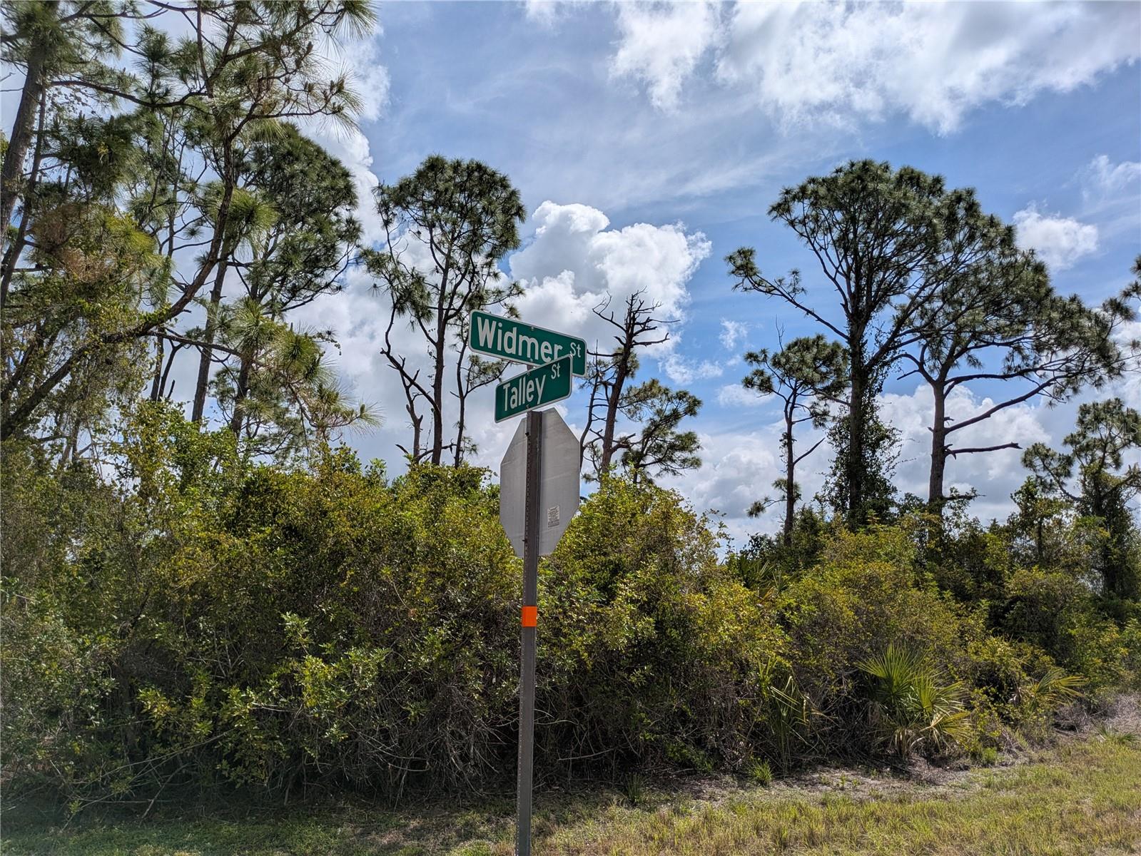 7396 WIDMER ST, PORT CHARLOTTE, FL, 33981
