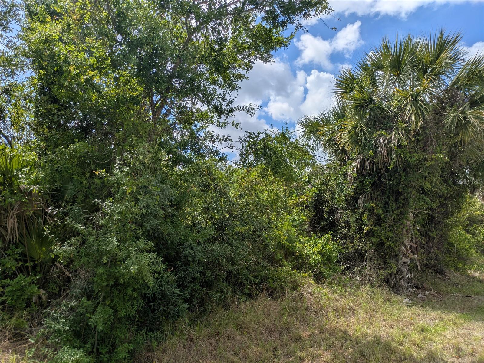 7396 WIDMER ST, PORT CHARLOTTE, FL, 33981