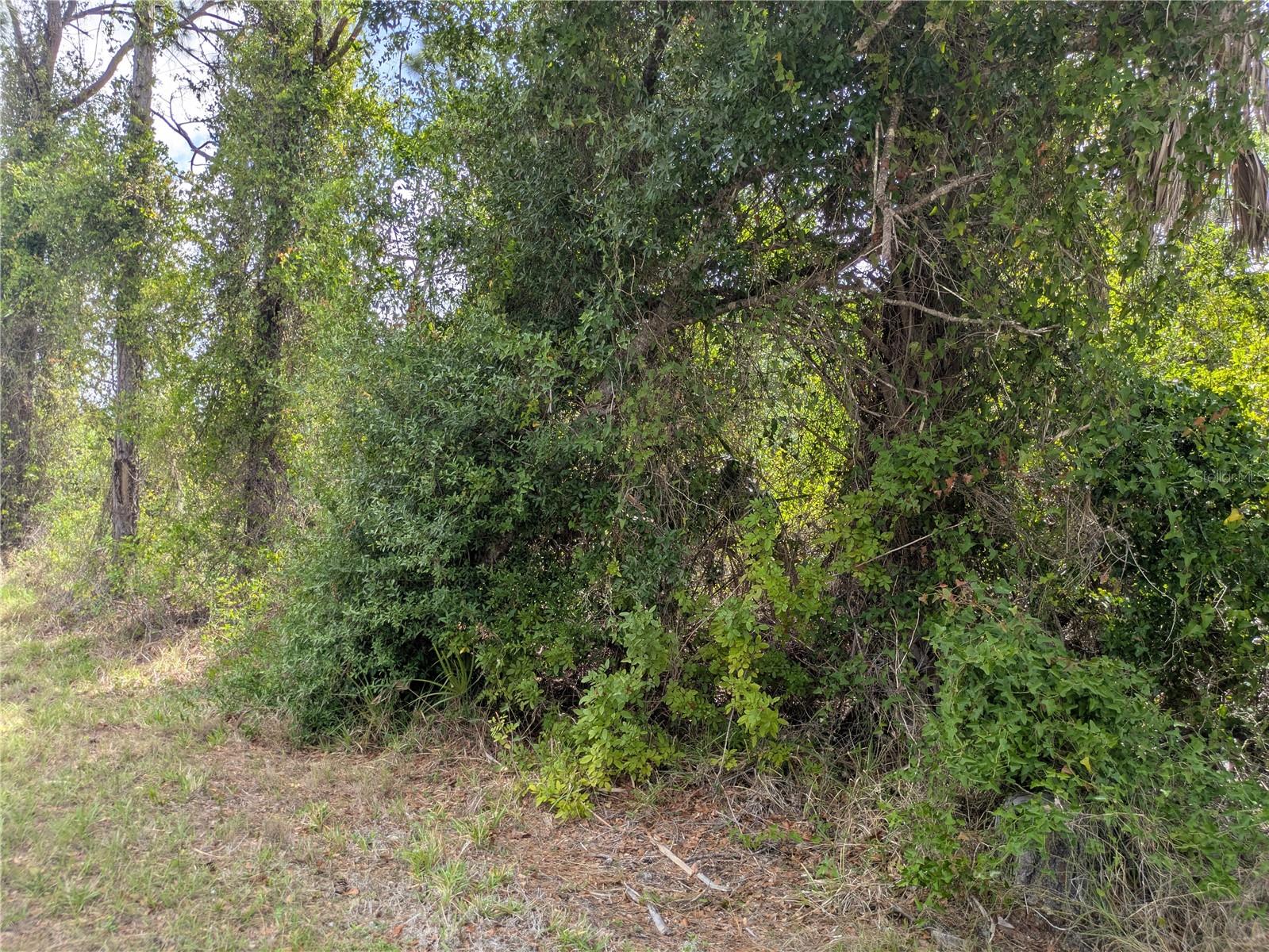 7396 WIDMER ST, PORT CHARLOTTE, FL, 33981