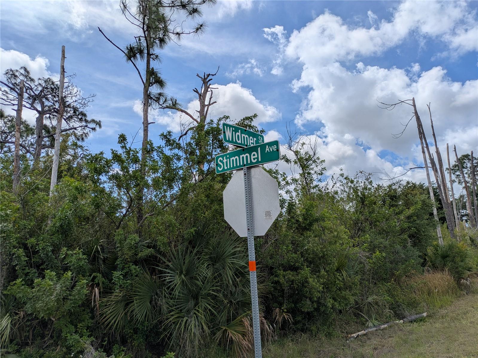 7396 WIDMER ST, PORT CHARLOTTE, FL, 33981