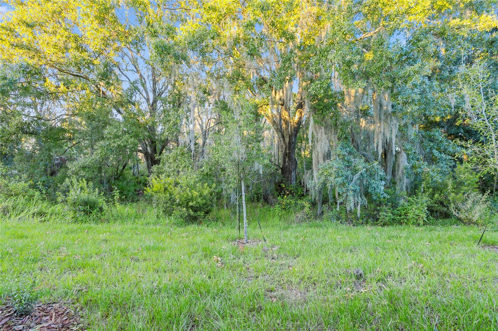 32859 PEZ LANDING LN, WESLEY CHAPEL, FL, 33543