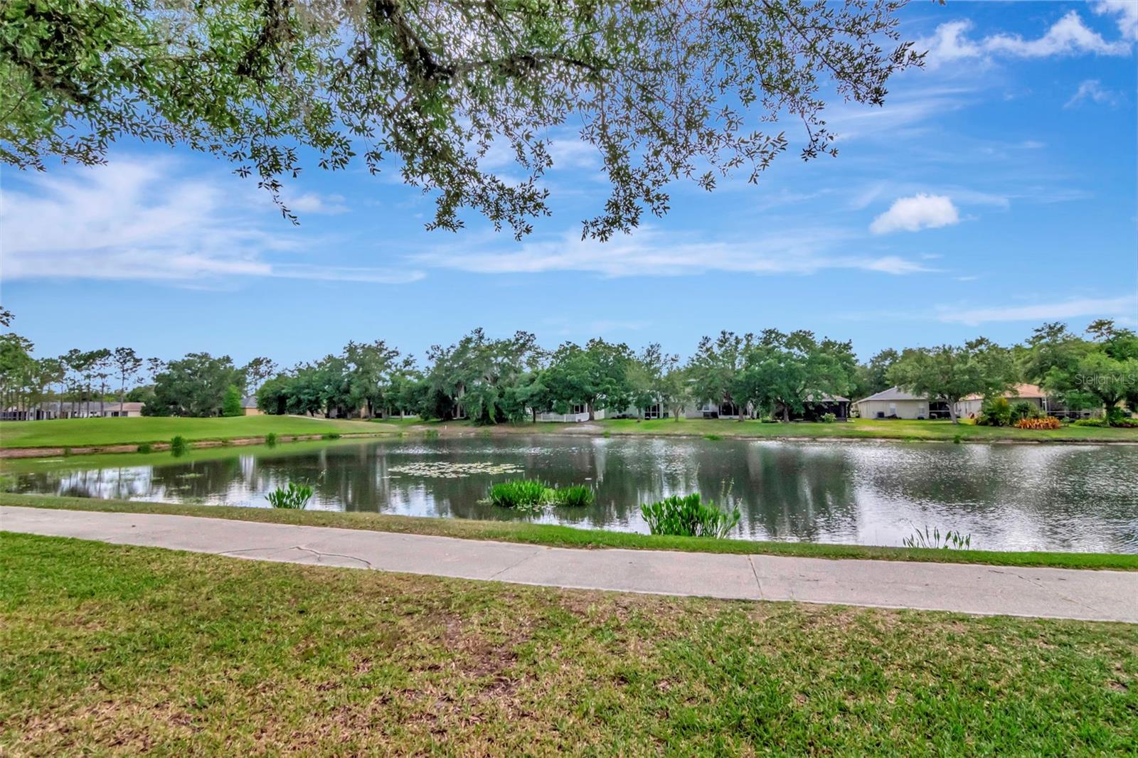 18140 PORTSIDE ST, TAMPA, FL, 33647