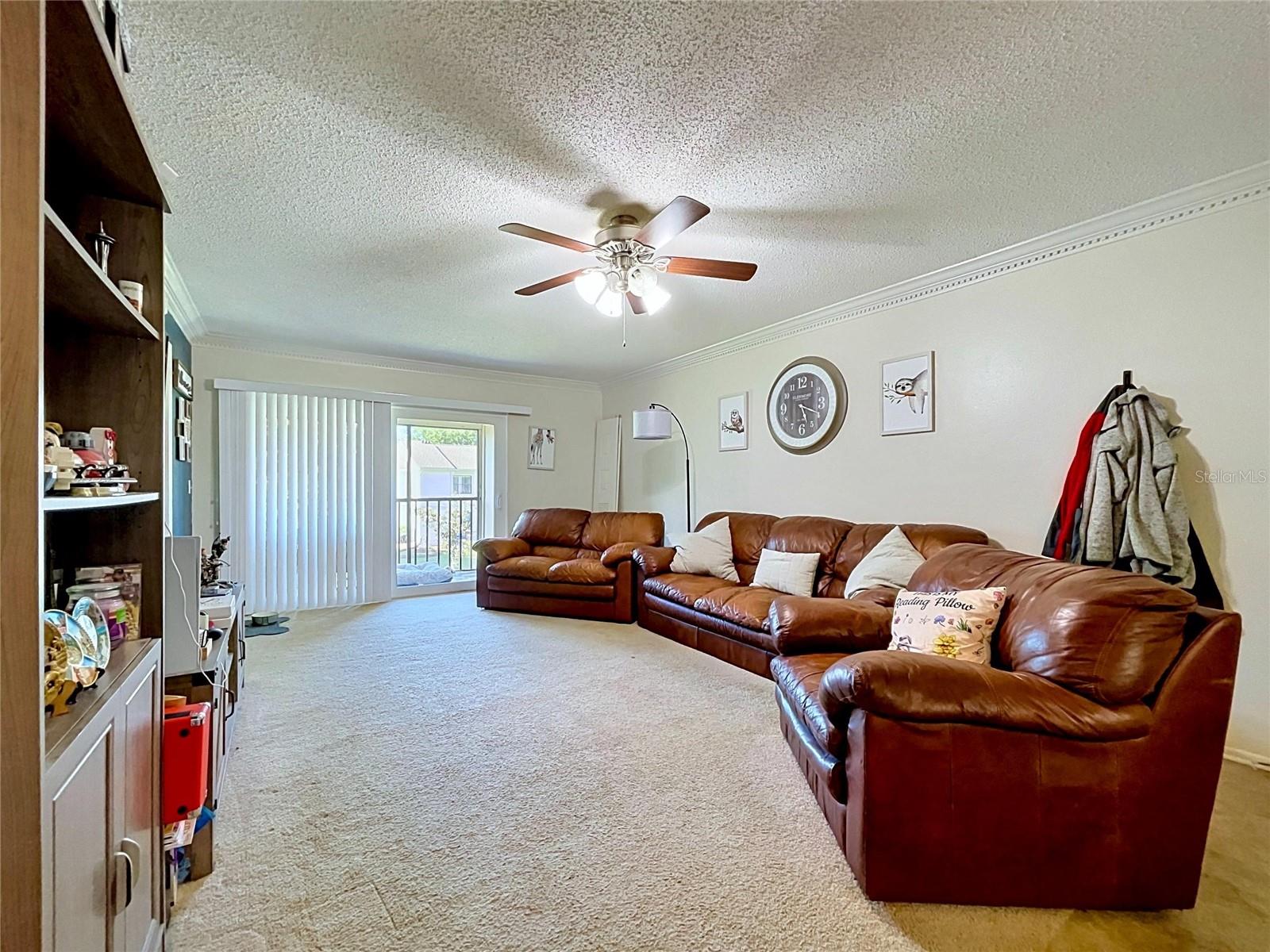 202 MEADOW LN #50, OLDSMAR, FL, 34677