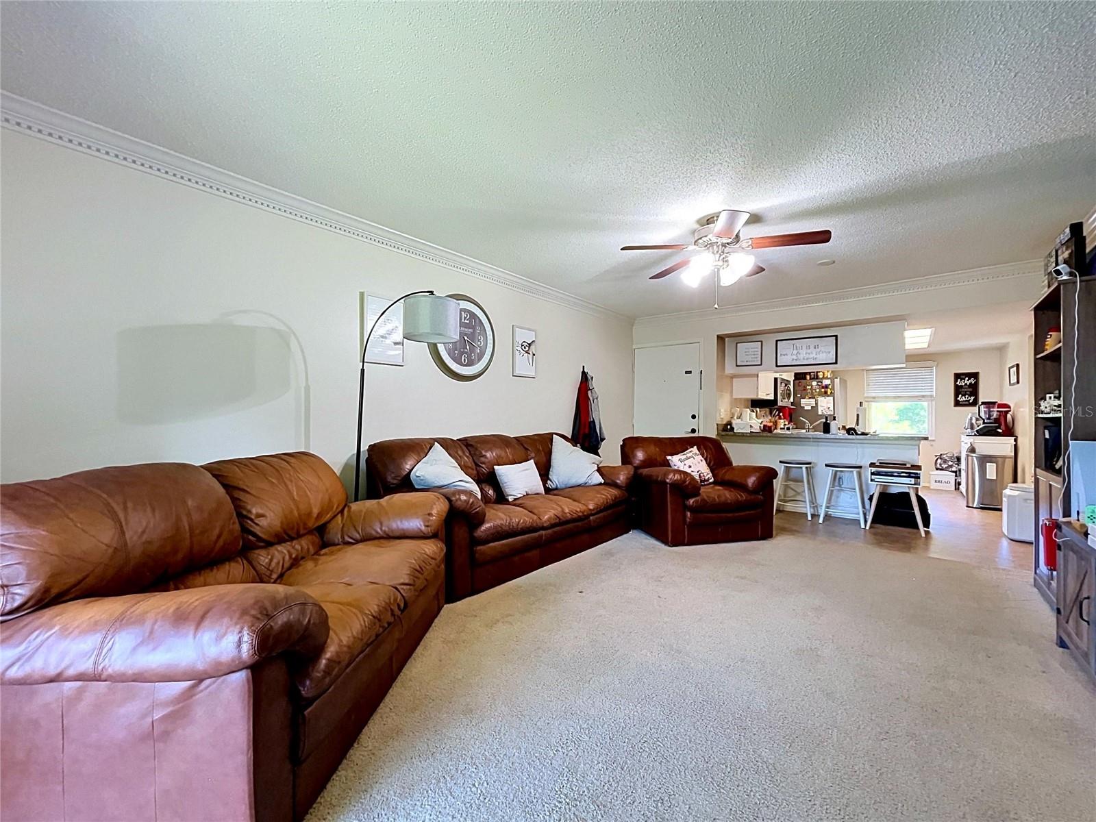 202 MEADOW LN #50, OLDSMAR, FL, 34677