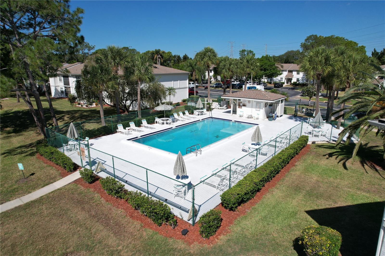 202 MEADOW LN #50, OLDSMAR, FL, 34677