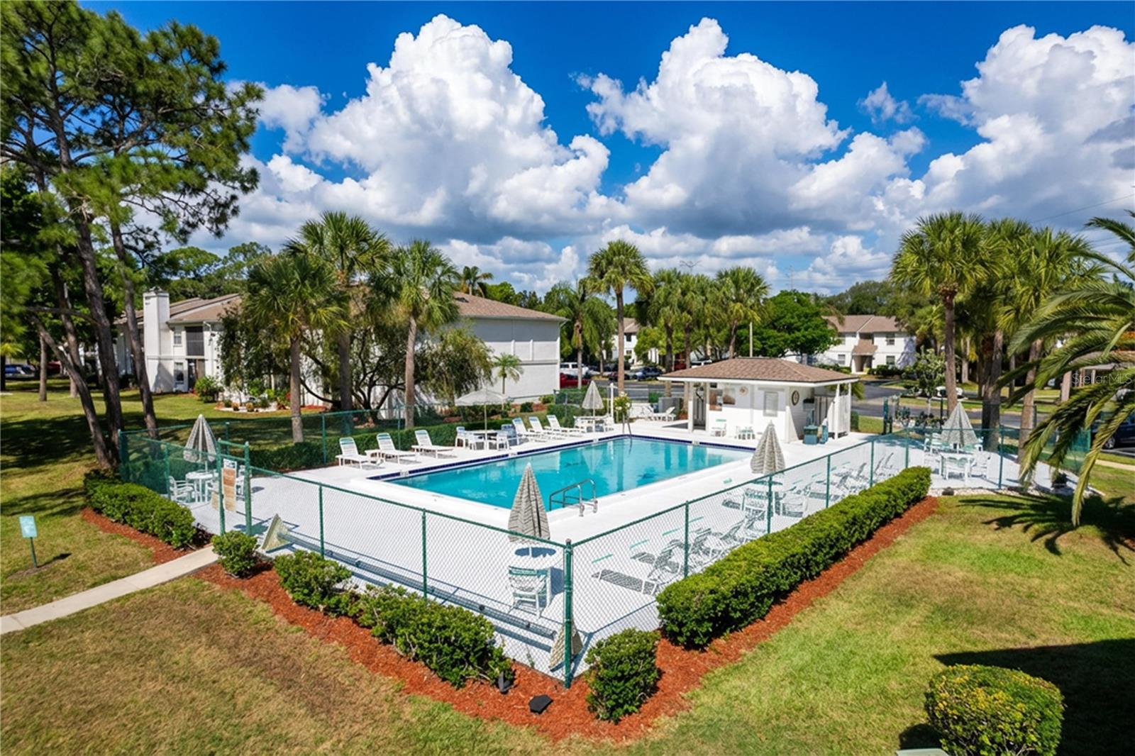 202 MEADOW LN #50, OLDSMAR, FL, 34677