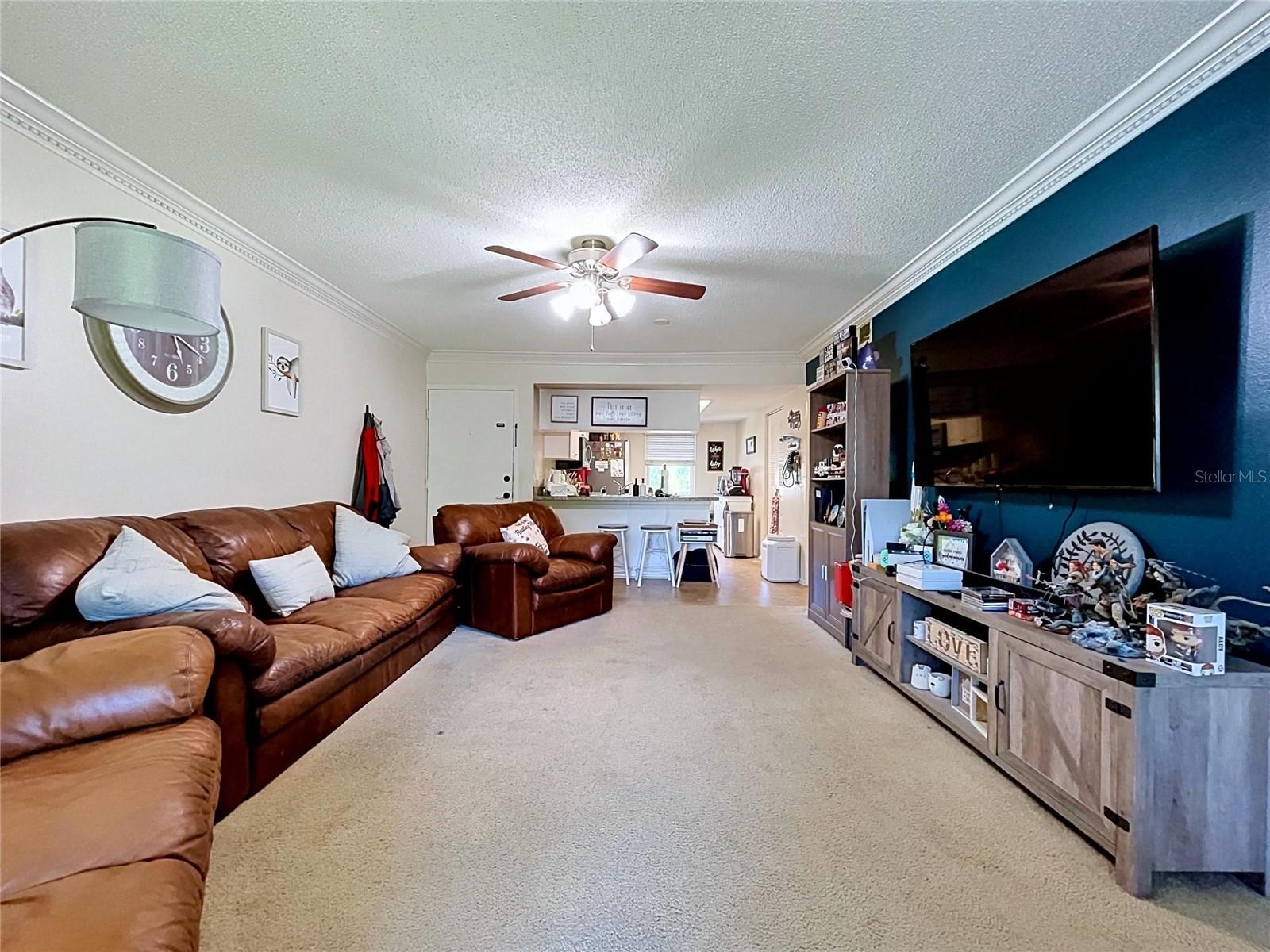 202 MEADOW LN #50, OLDSMAR, FL, 34677