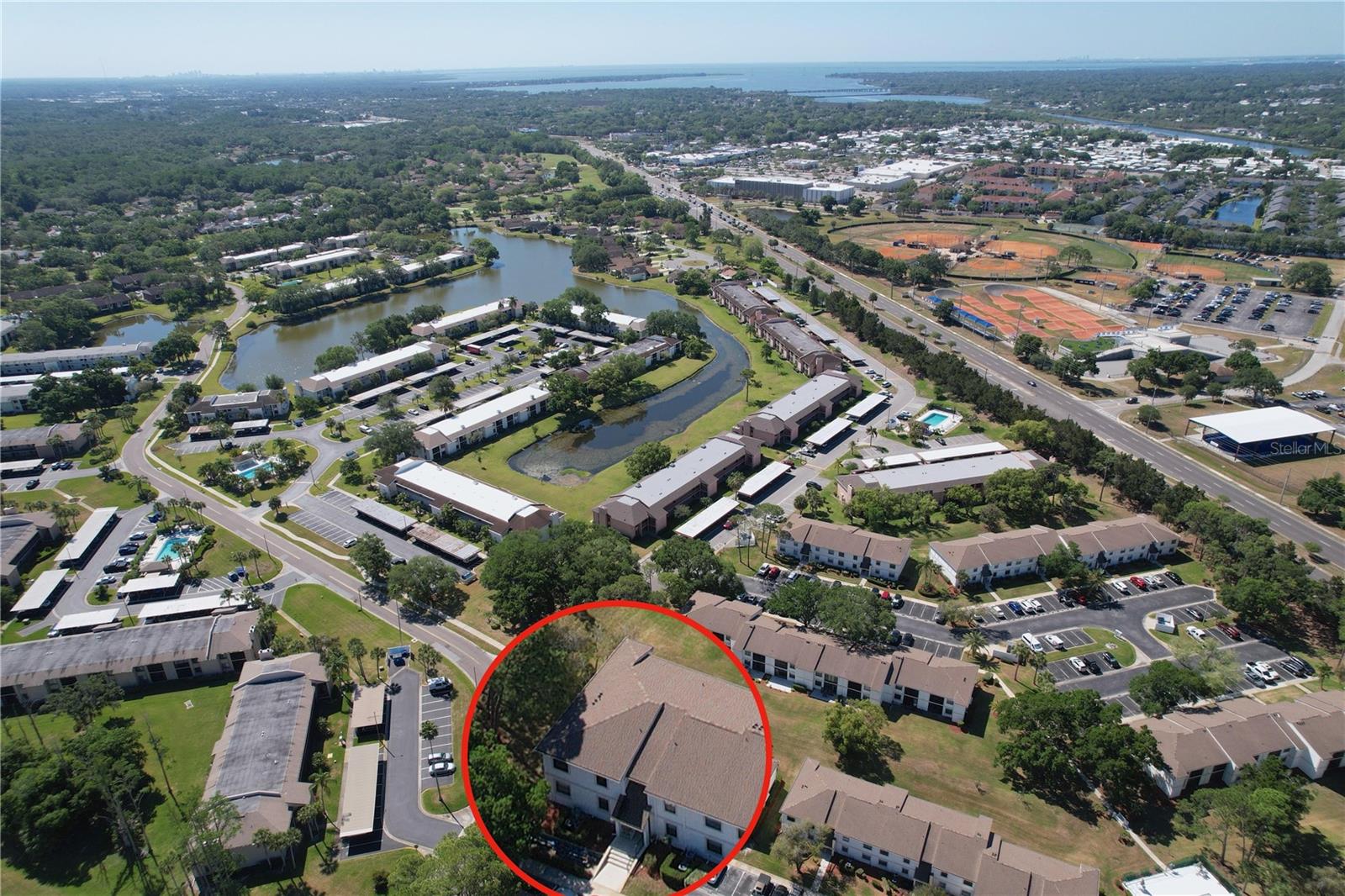 202 MEADOW LN #50, OLDSMAR, FL, 34677