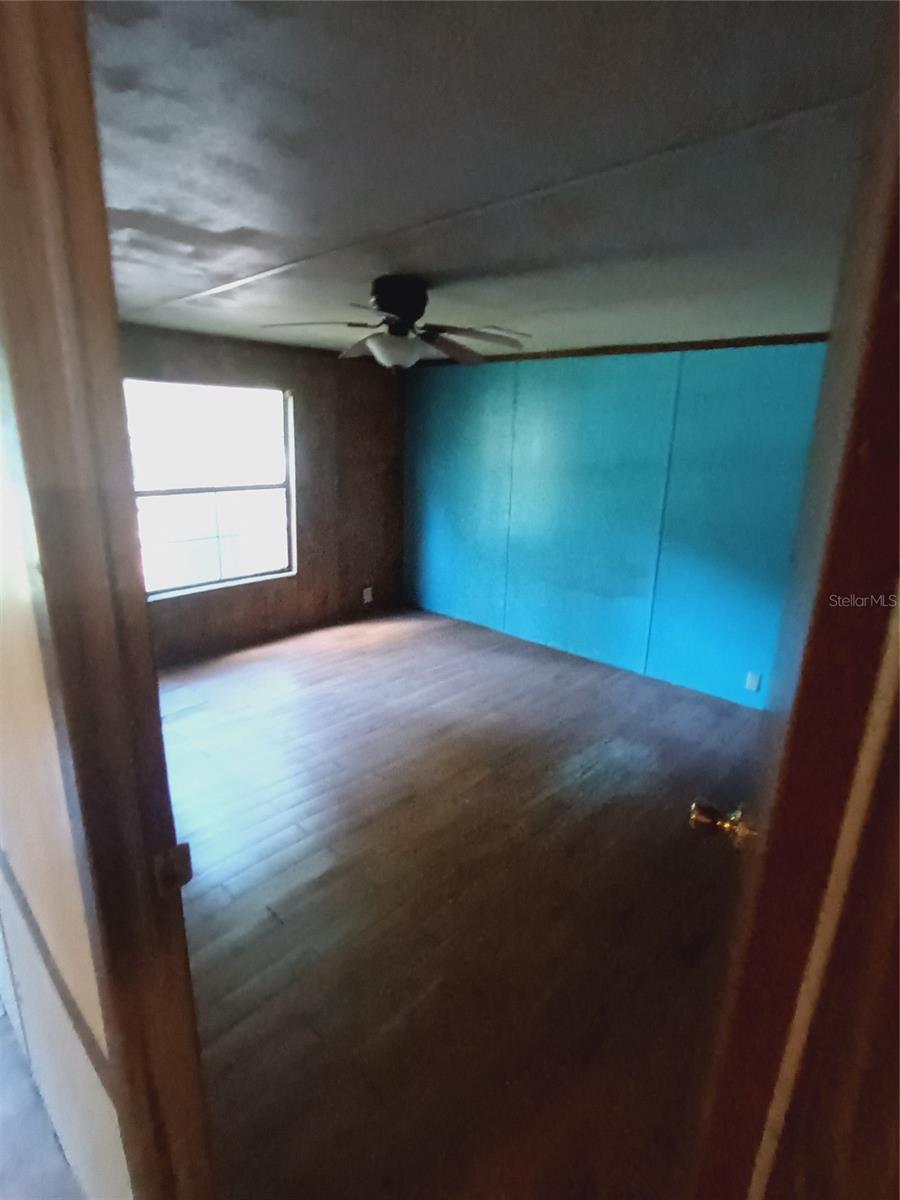 3128 CR 418, LAKE PANASOFFKEE, FL, 33538